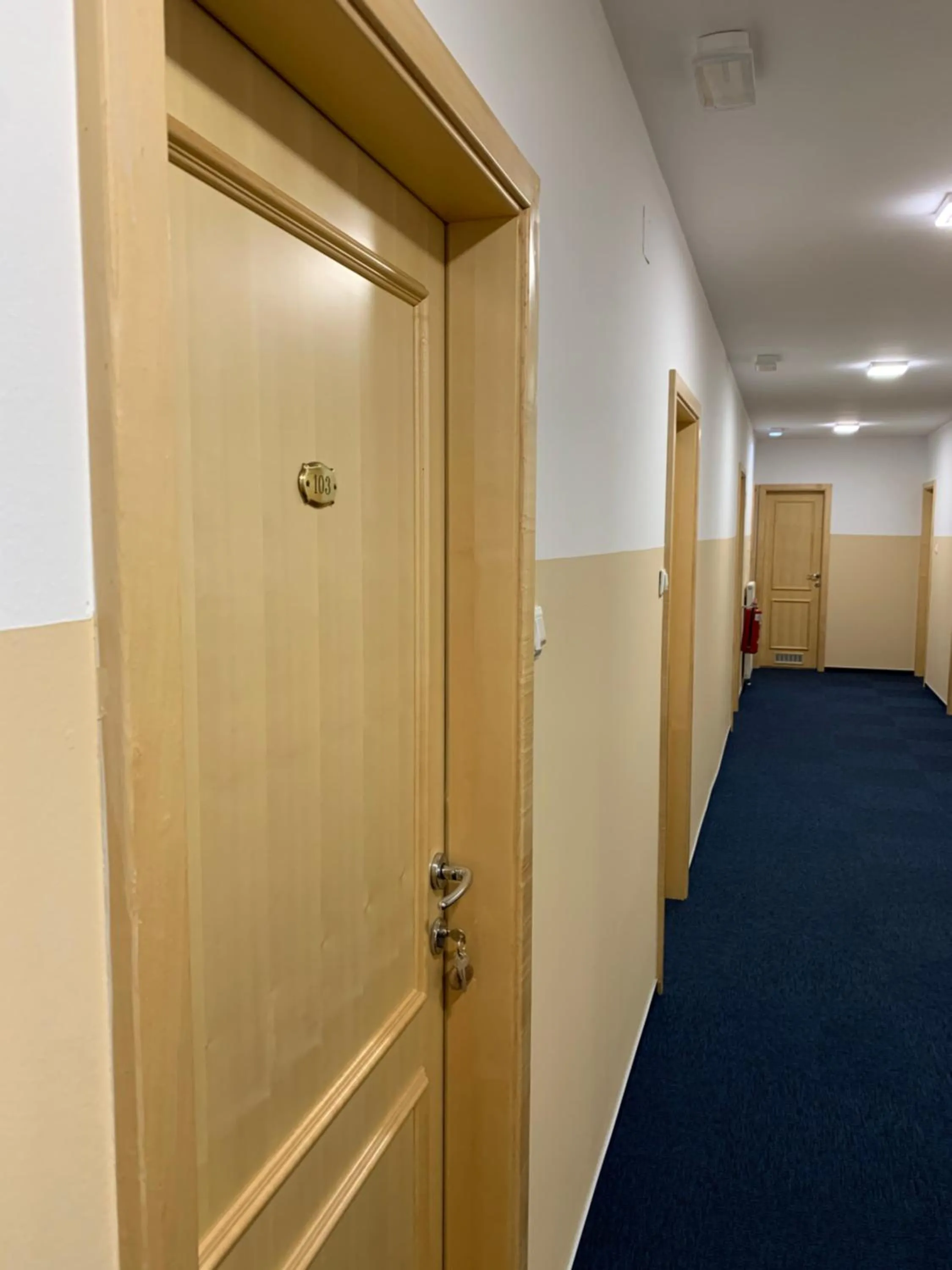 Property building in Kozjanski dvor