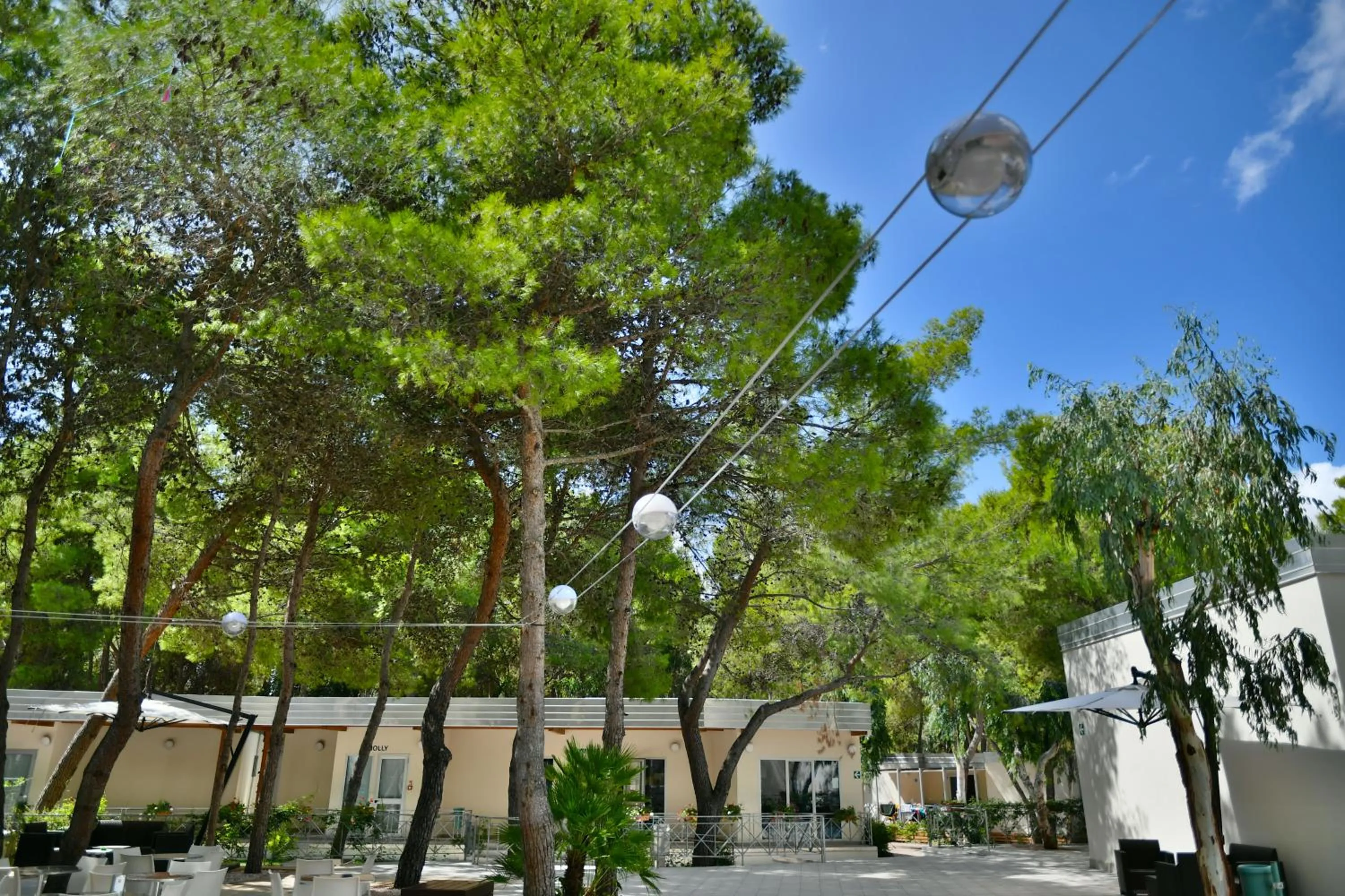 Garden in Sira Resort