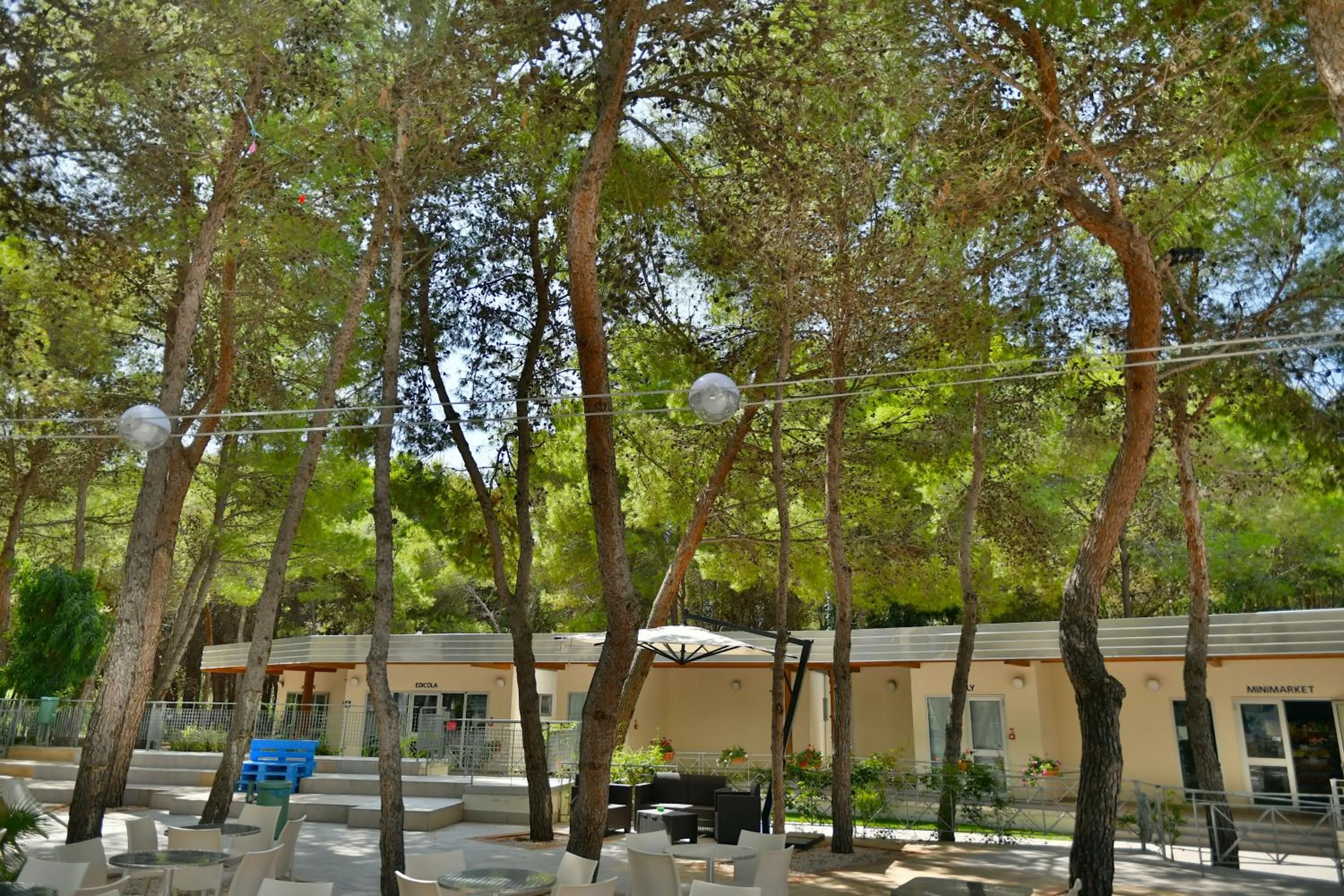 Garden in Sira Resort