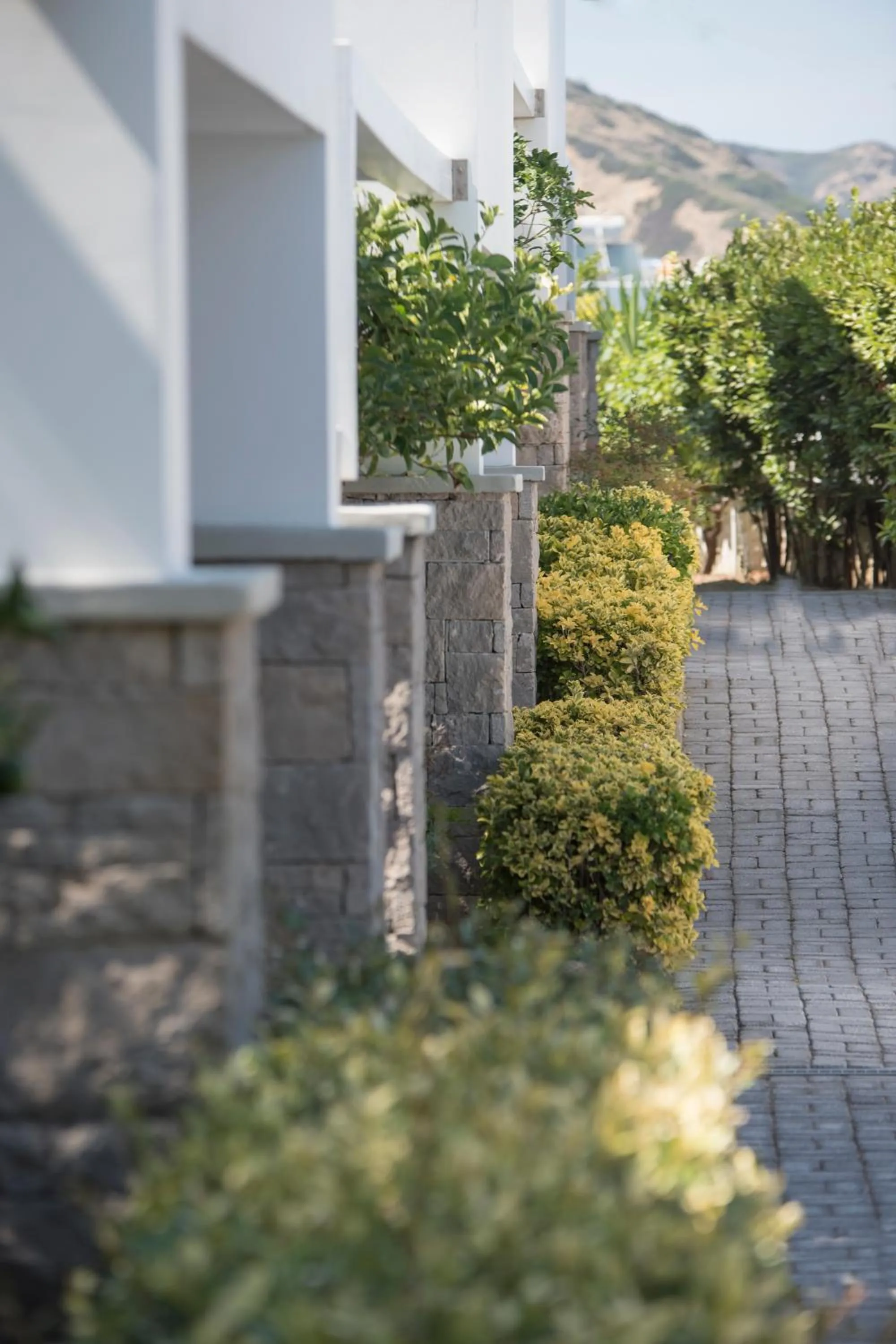 Property building in Skyros Ammos Hotel