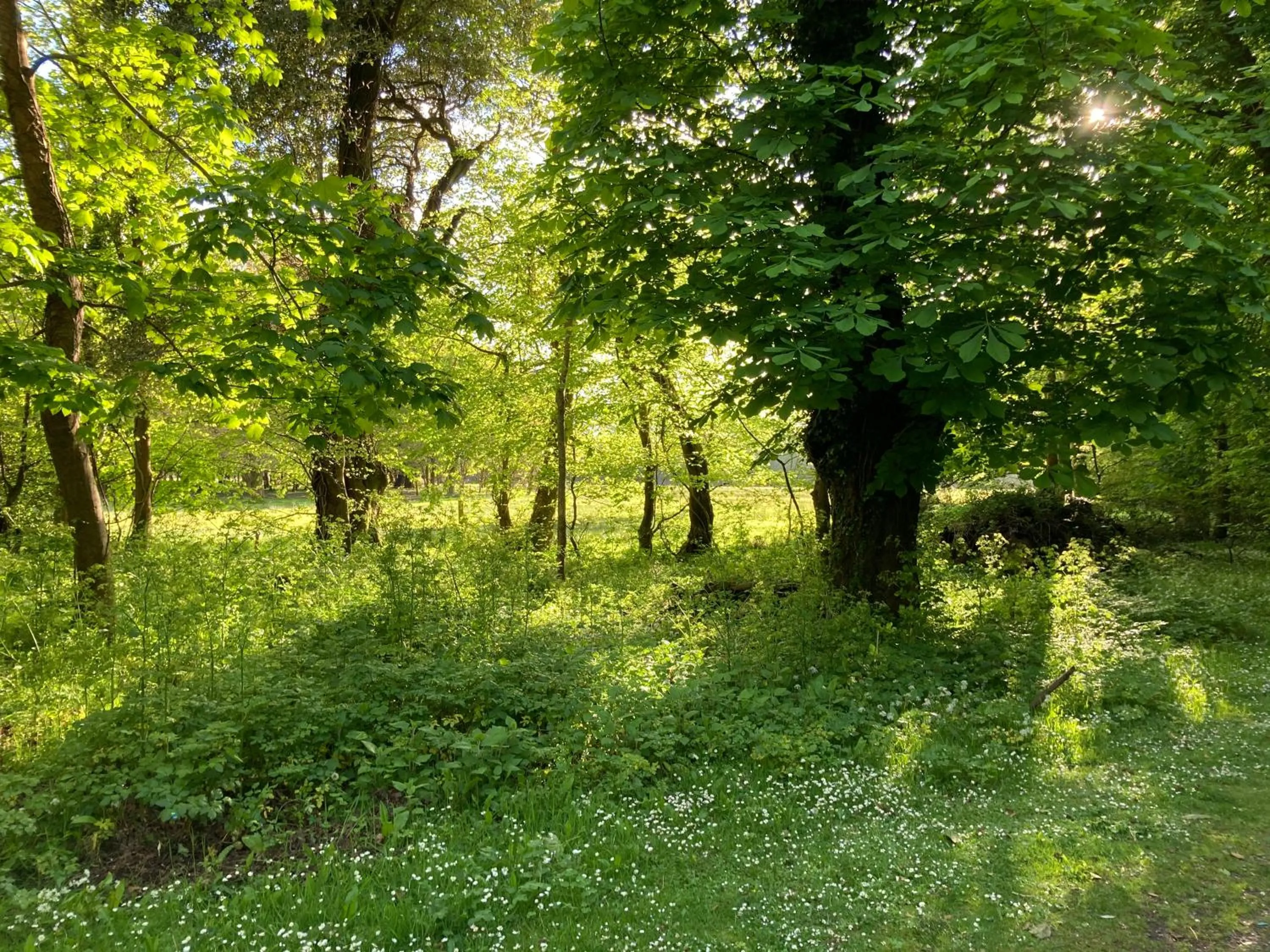 Natural landscape in Ivy Cottage B&B