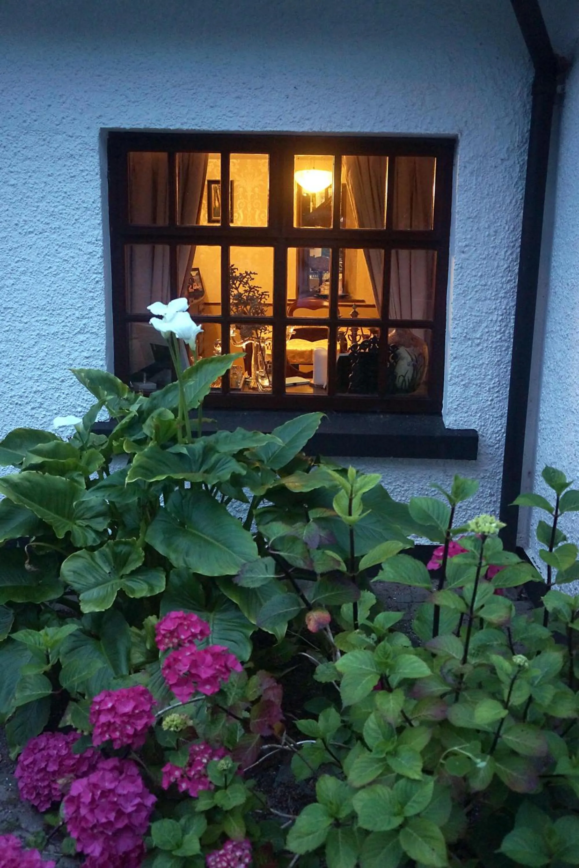 Property building in Ivy Cottage B&B