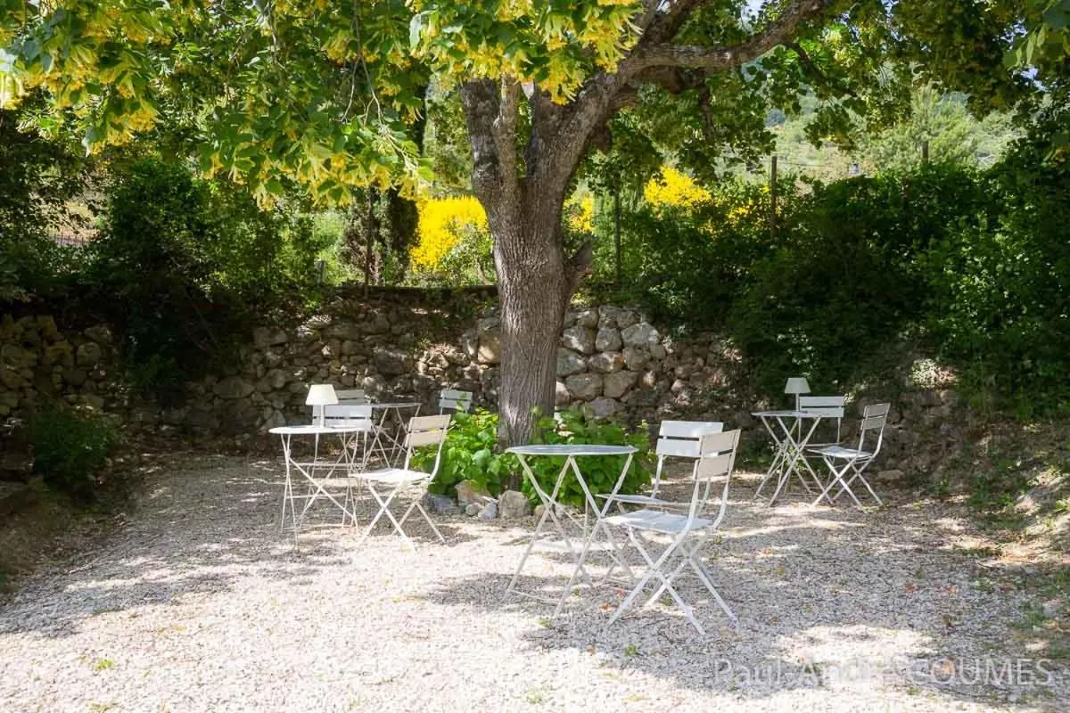 Garden in La Maison de Marguerite