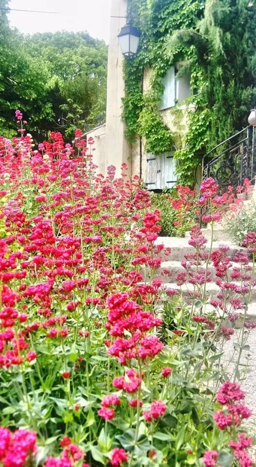 Garden in La Maison de Marguerite