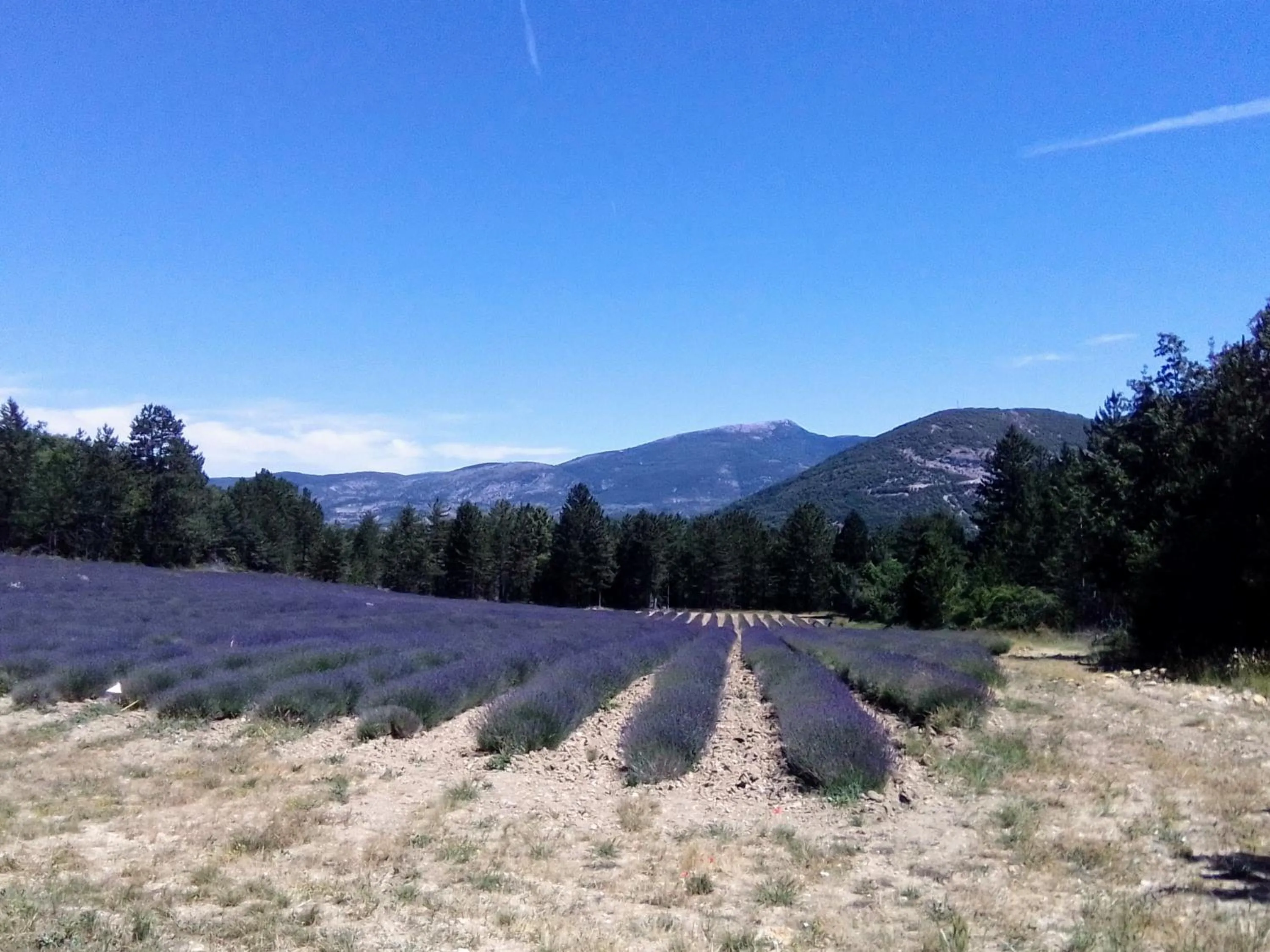 Natural landscape in La Maison de Marguerite