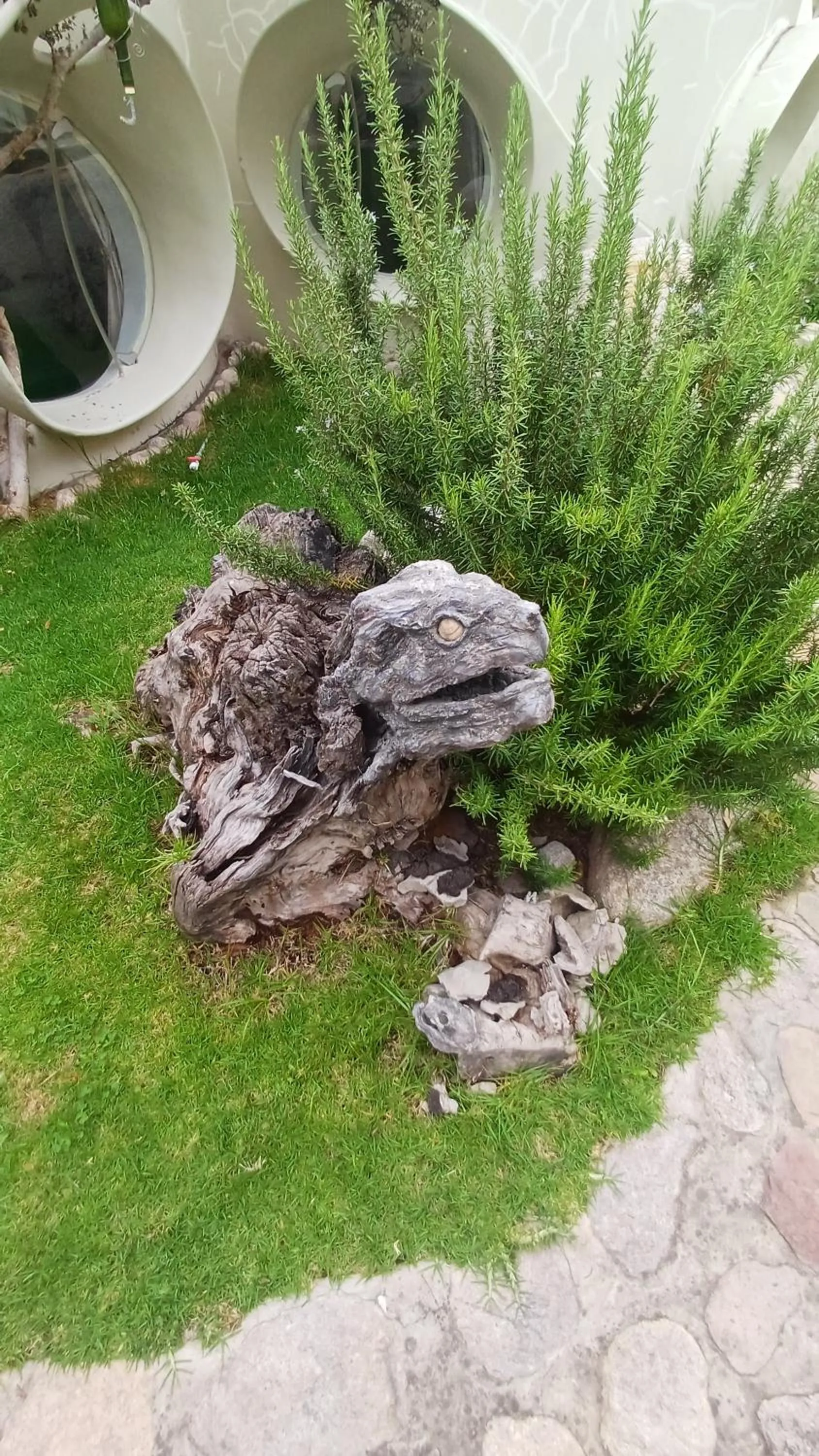 Garden in Wifala Harmony Hotel