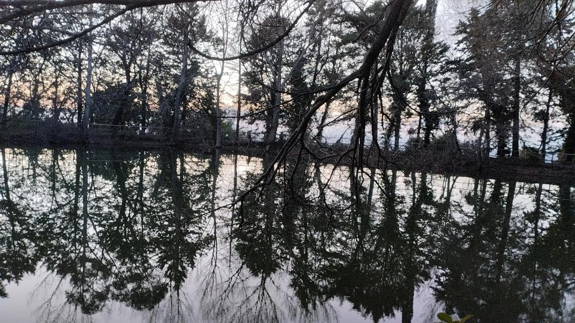 Logo/Certificate/Sign in Chiosi Country Club