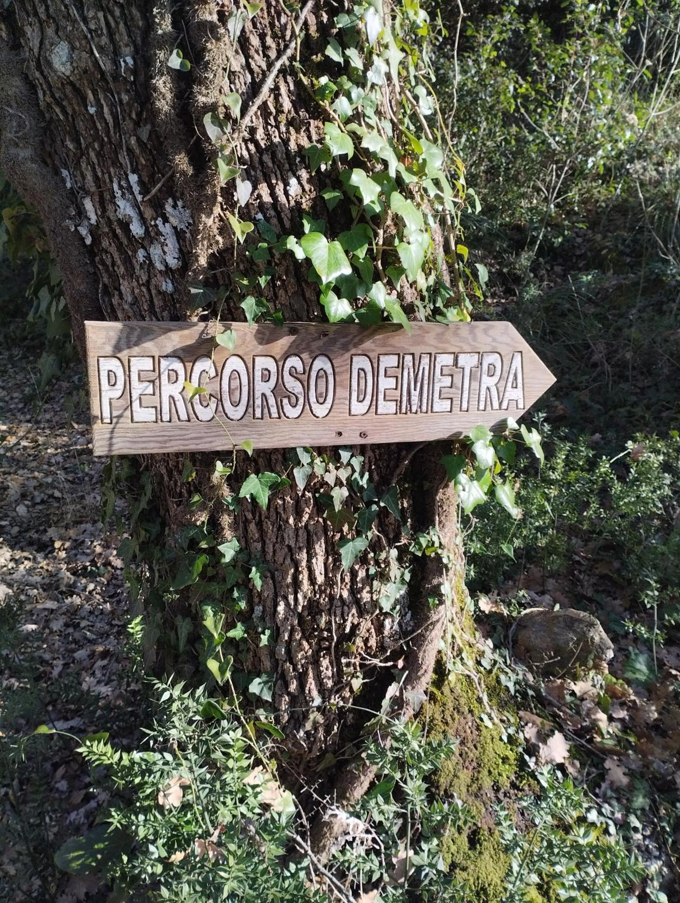 Natural landscape in Chiosi Country Club