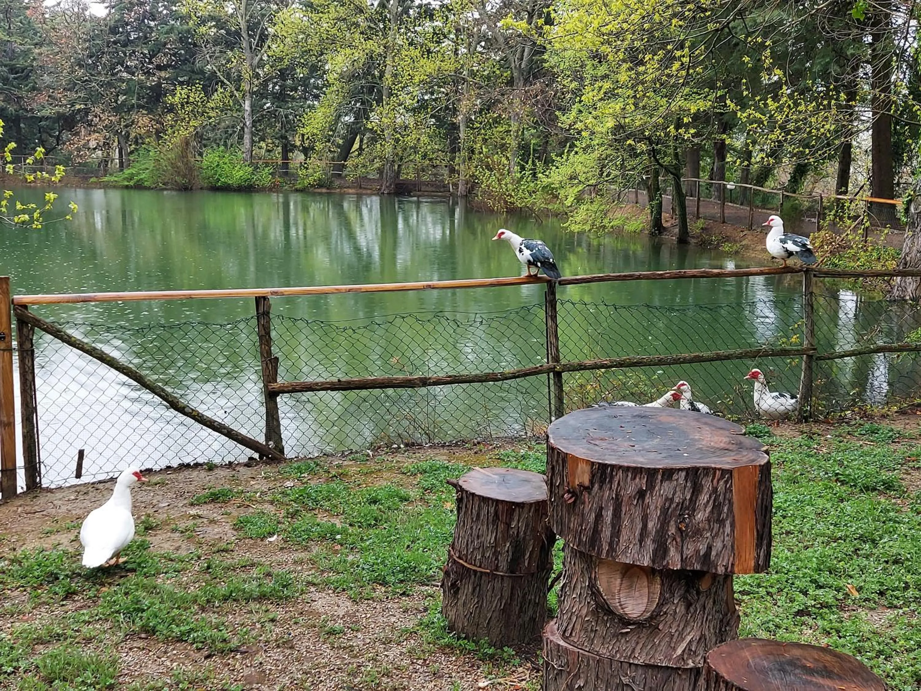 Day in Chiosi Country Club