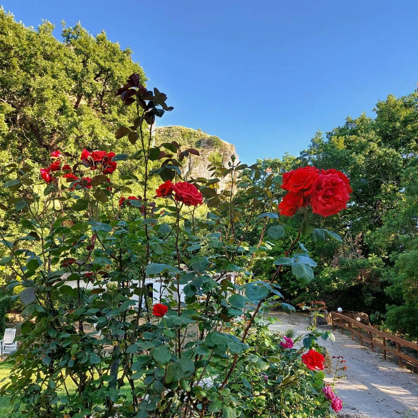 Garden view in Chiosi Country Club