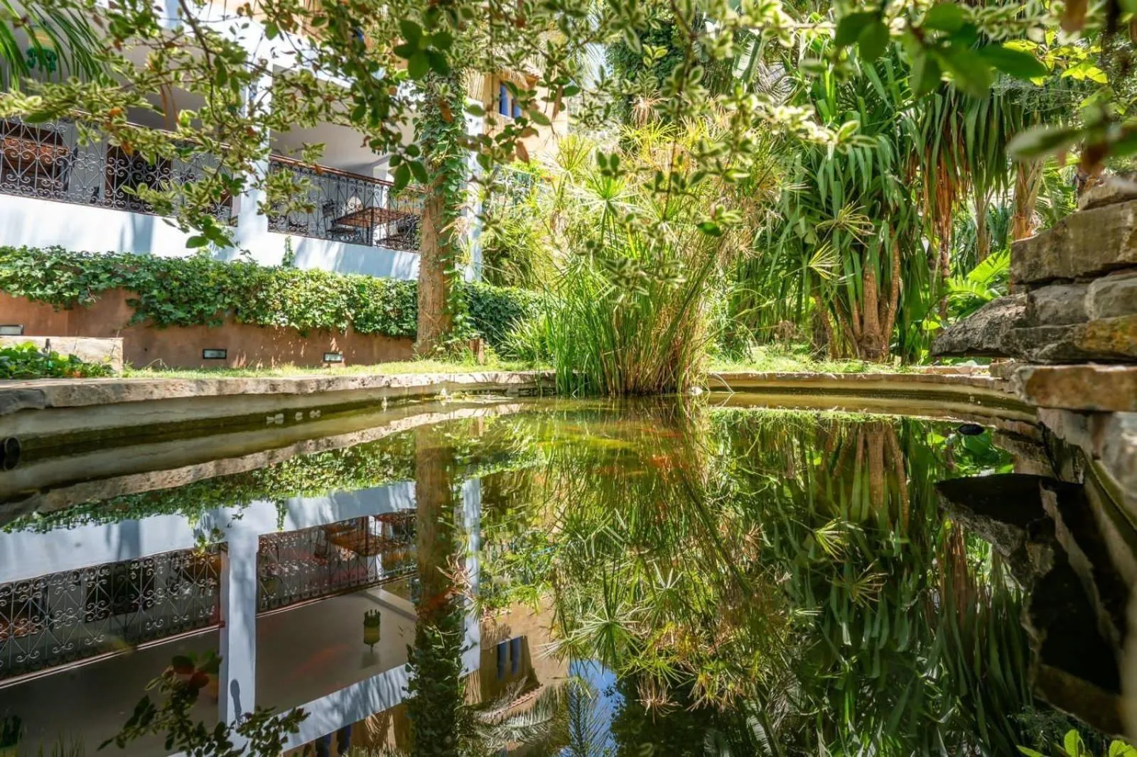 Garden in Hotel Molino Garden