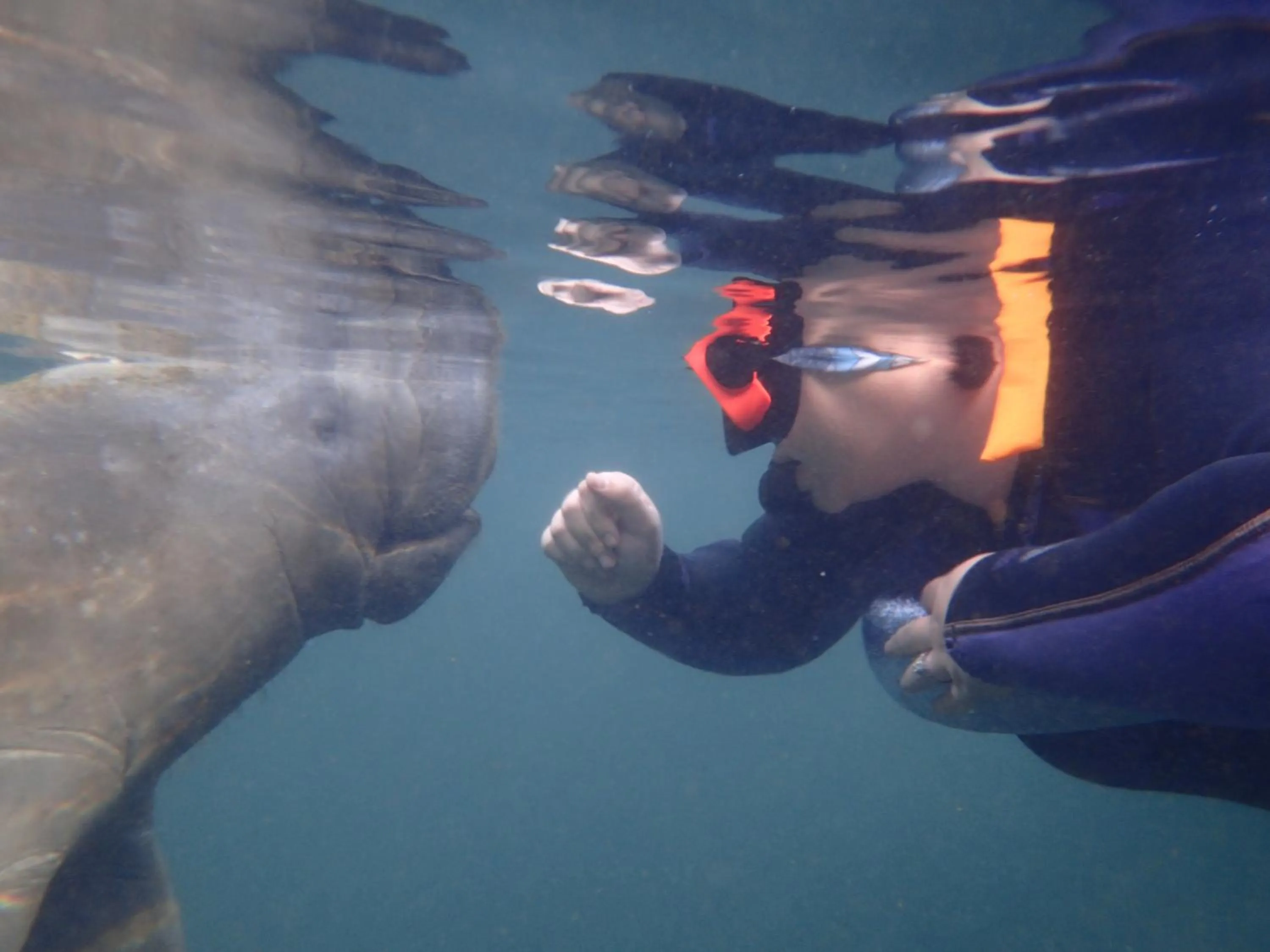 Riverfront Treetop Bungalow