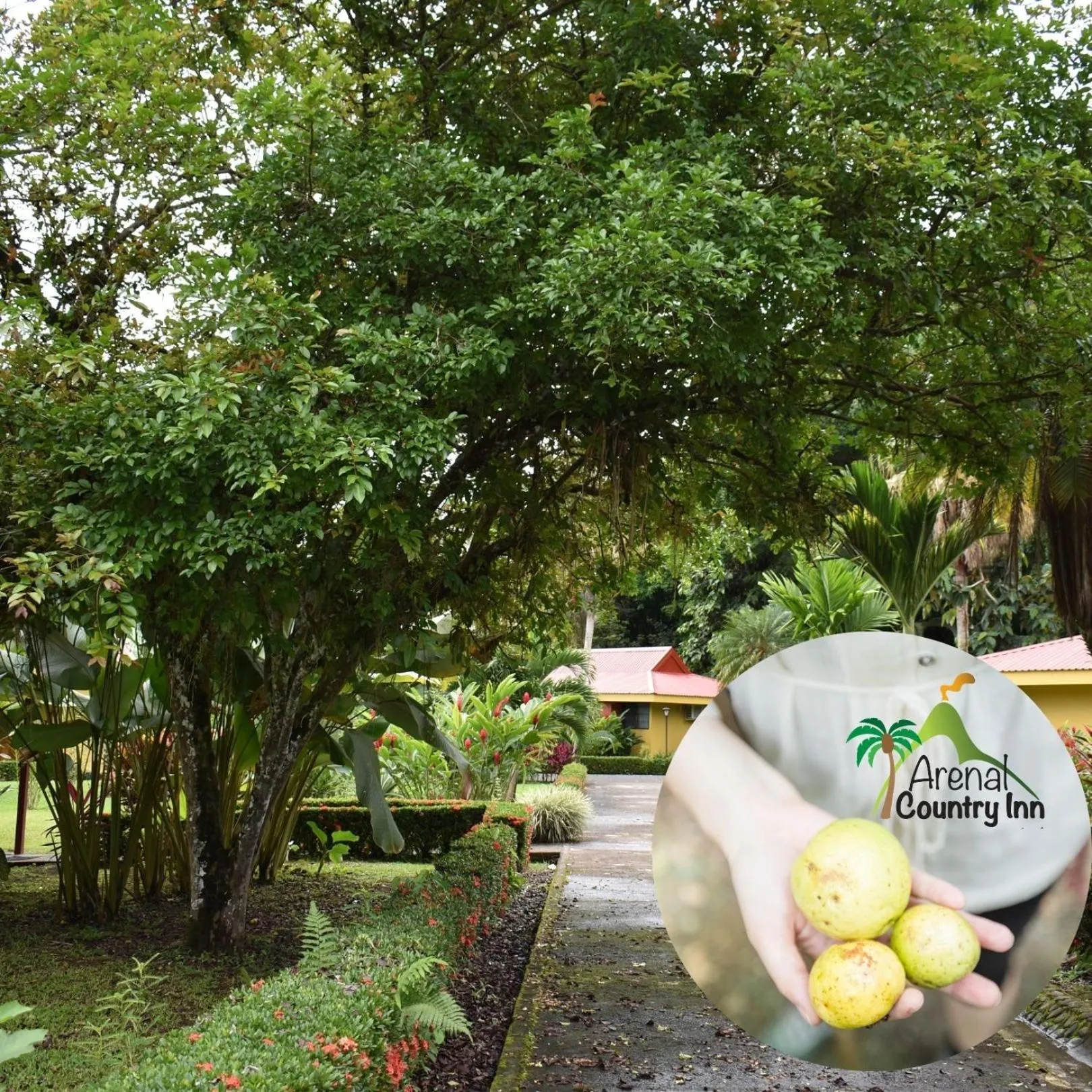 Garden in Hotel Arenal Country Inn