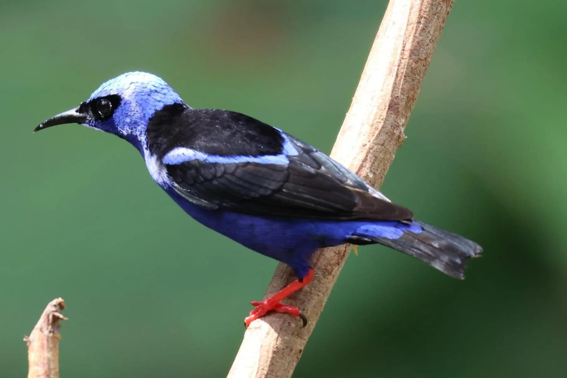 Bird's eye view in Hotel Arenal Country Inn