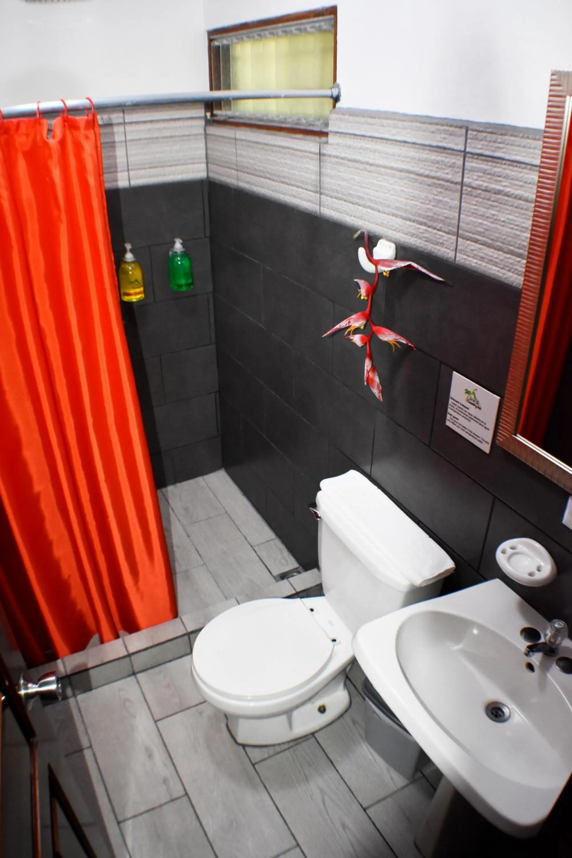 Shower in Hotel Arenal Country Inn