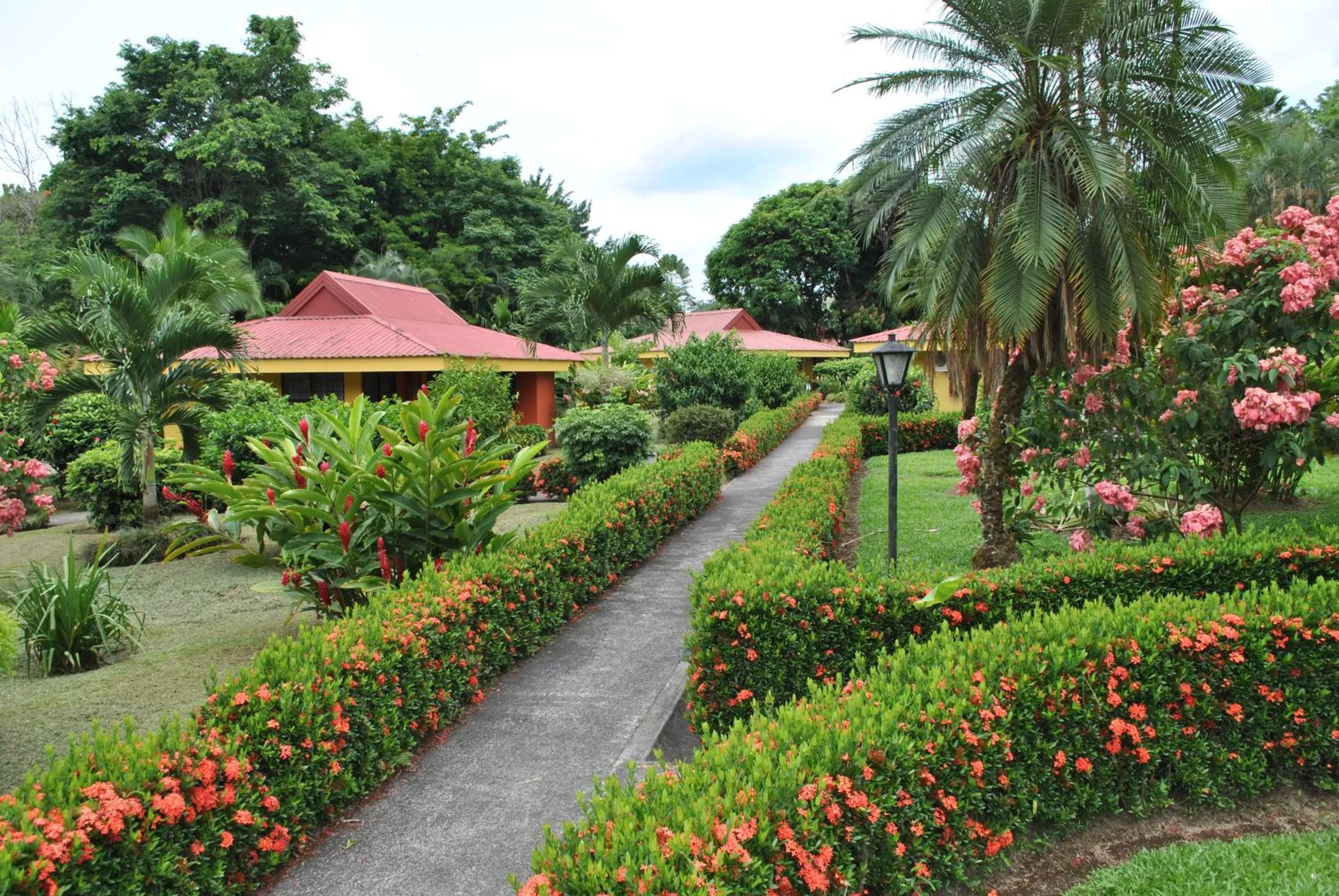 Garden in Hotel Arenal Country Inn