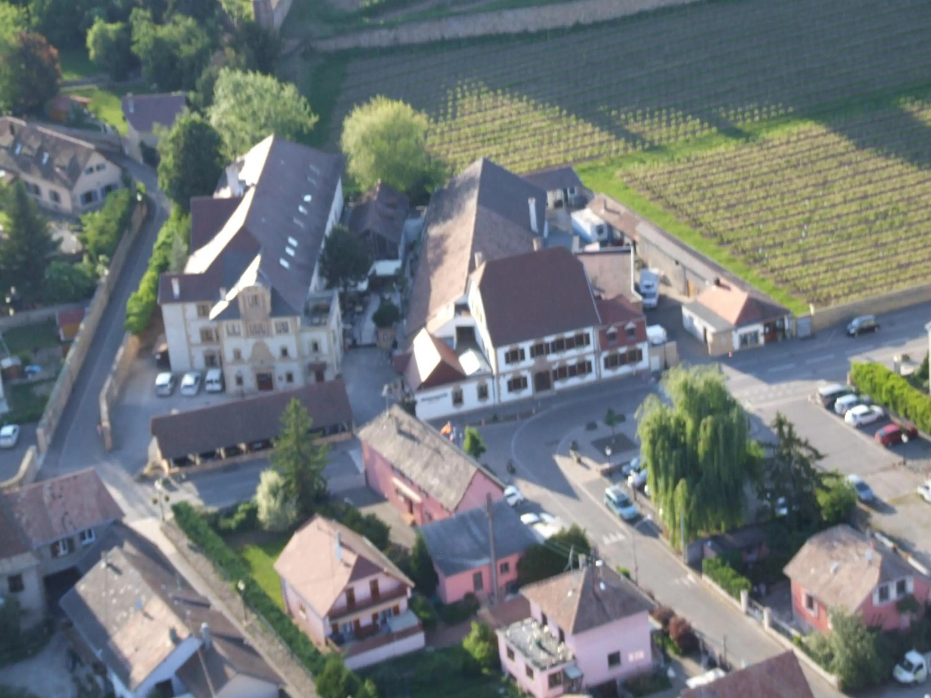 Bird's eye view in Le Domaine de Rouffach