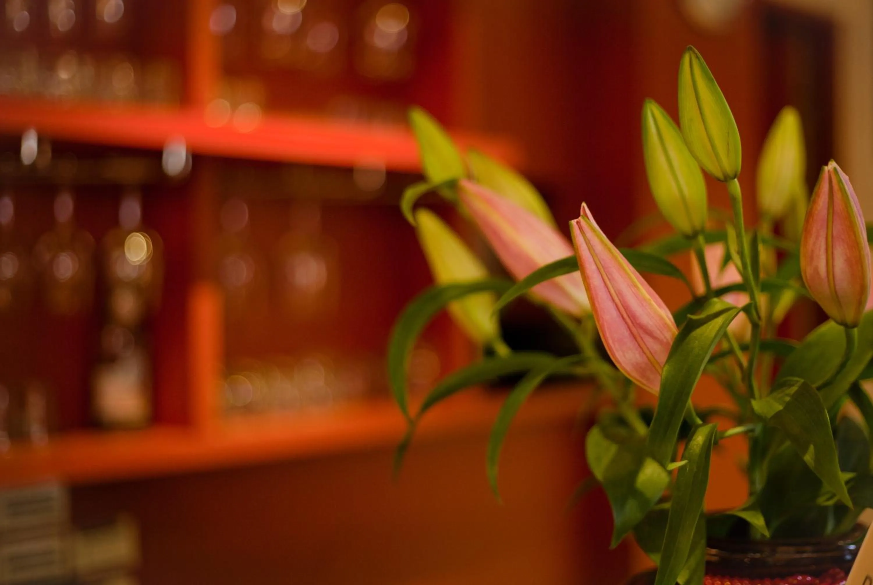 Restaurant/places to eat in East Town 26 Hotel