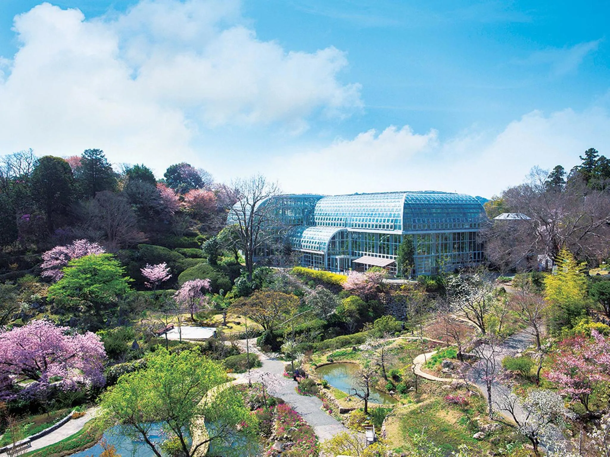 Nearby landmark in The Crown Palais New Hankyu Kochi
