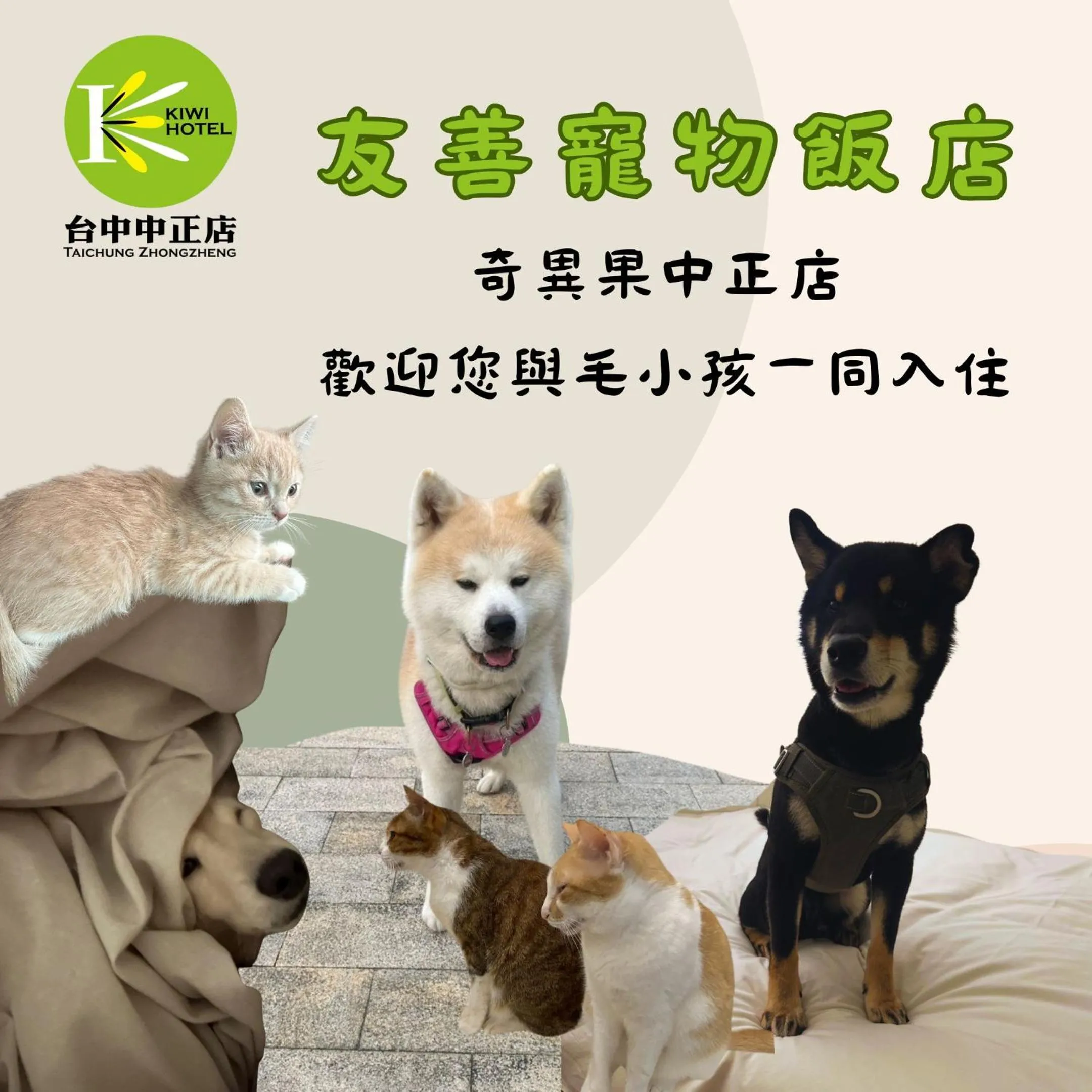 Pets in Kiwi Express Hotel - Zhong Zheng Branch