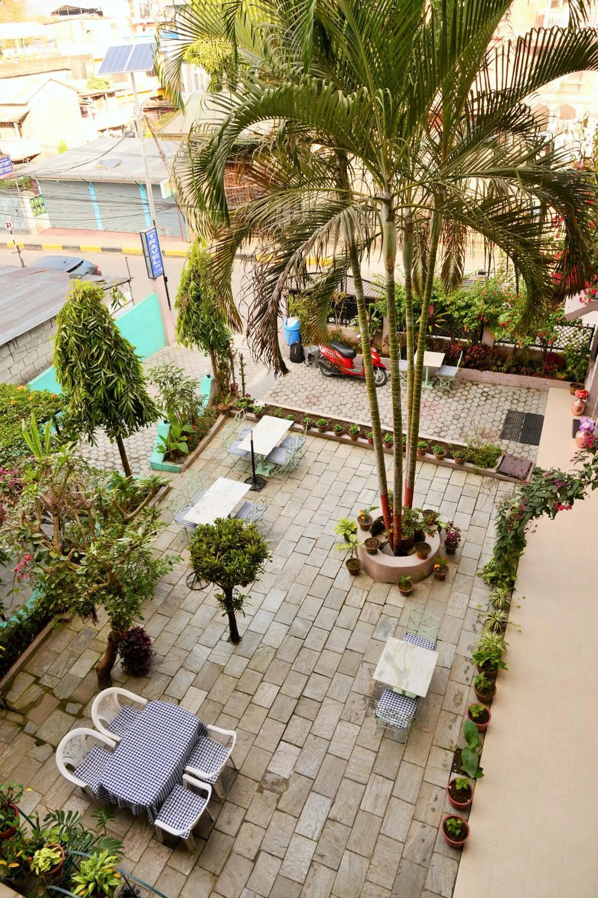 Garden in Hotel Travel Inn