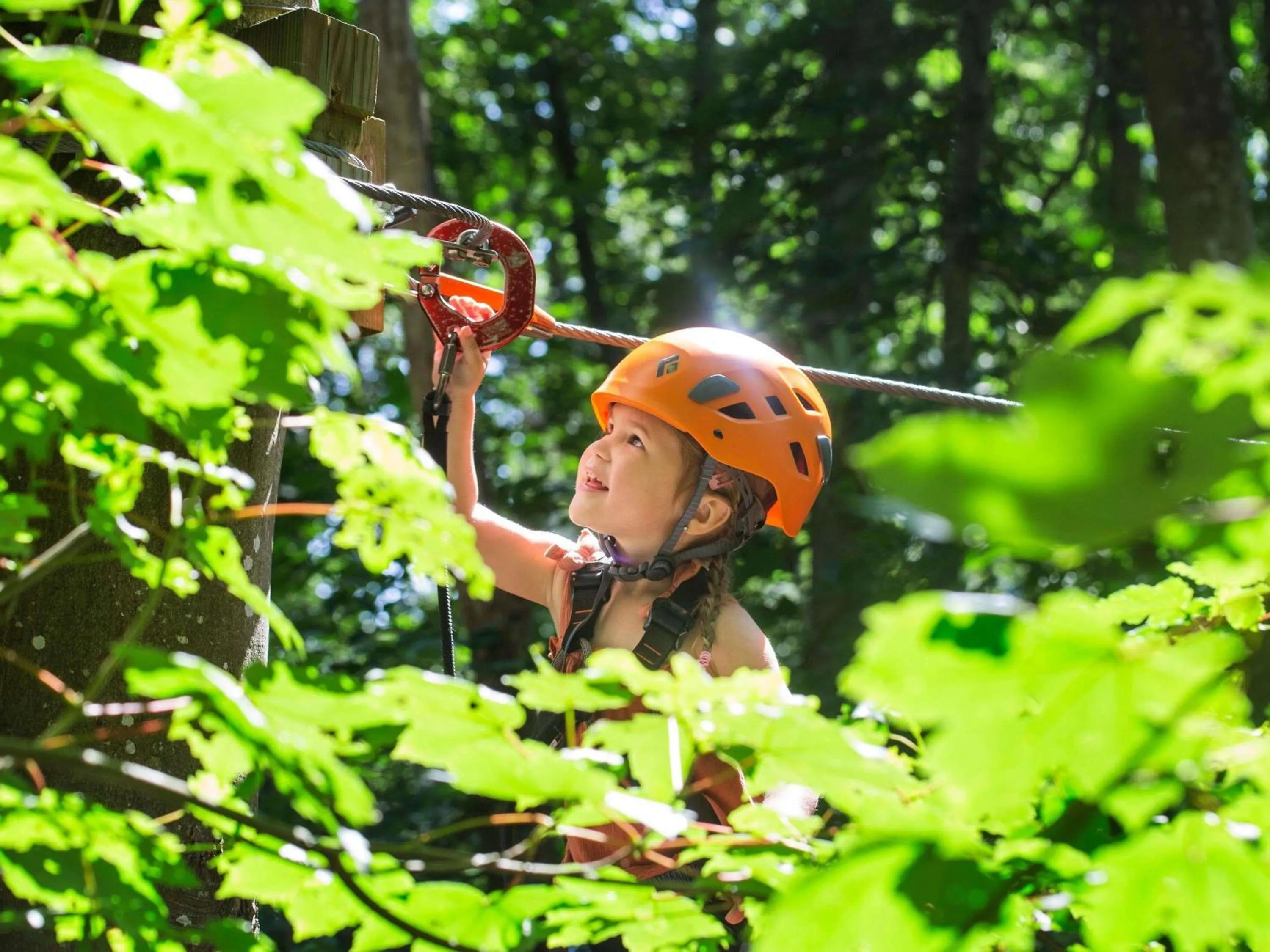 Other in Hotel Mercure Parc du Coudray - Barbizon