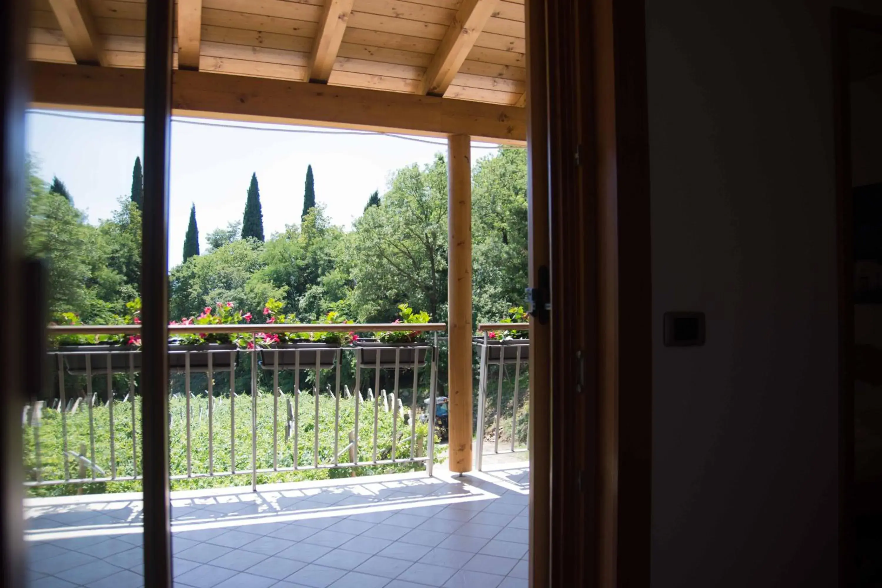 Double Room with Terrace and Vineyard View in Agritur Casteller Double Room with Terrace and Vineyard View in Agritur Casteller