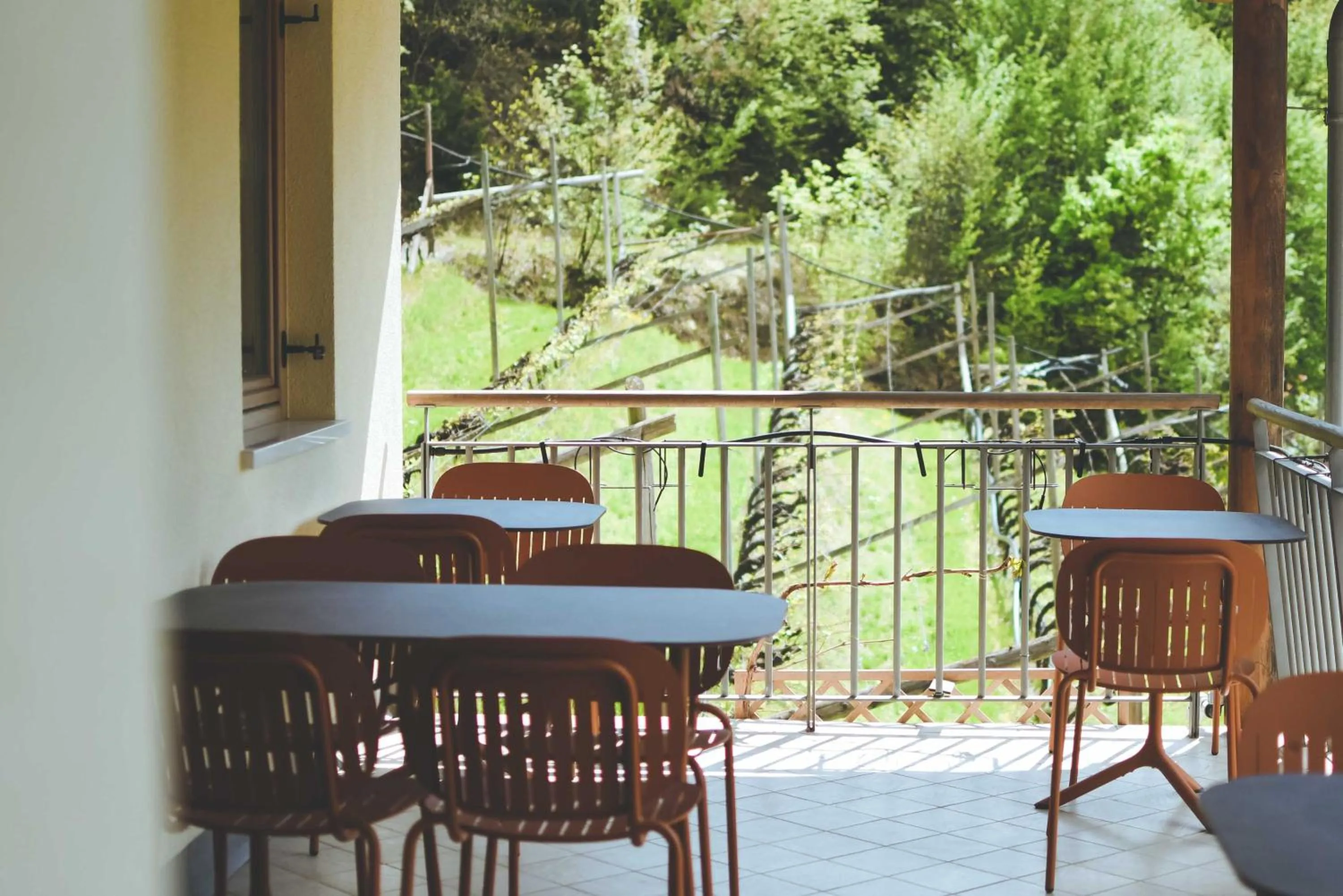 Balcony/Terrace in Agritur Casteller