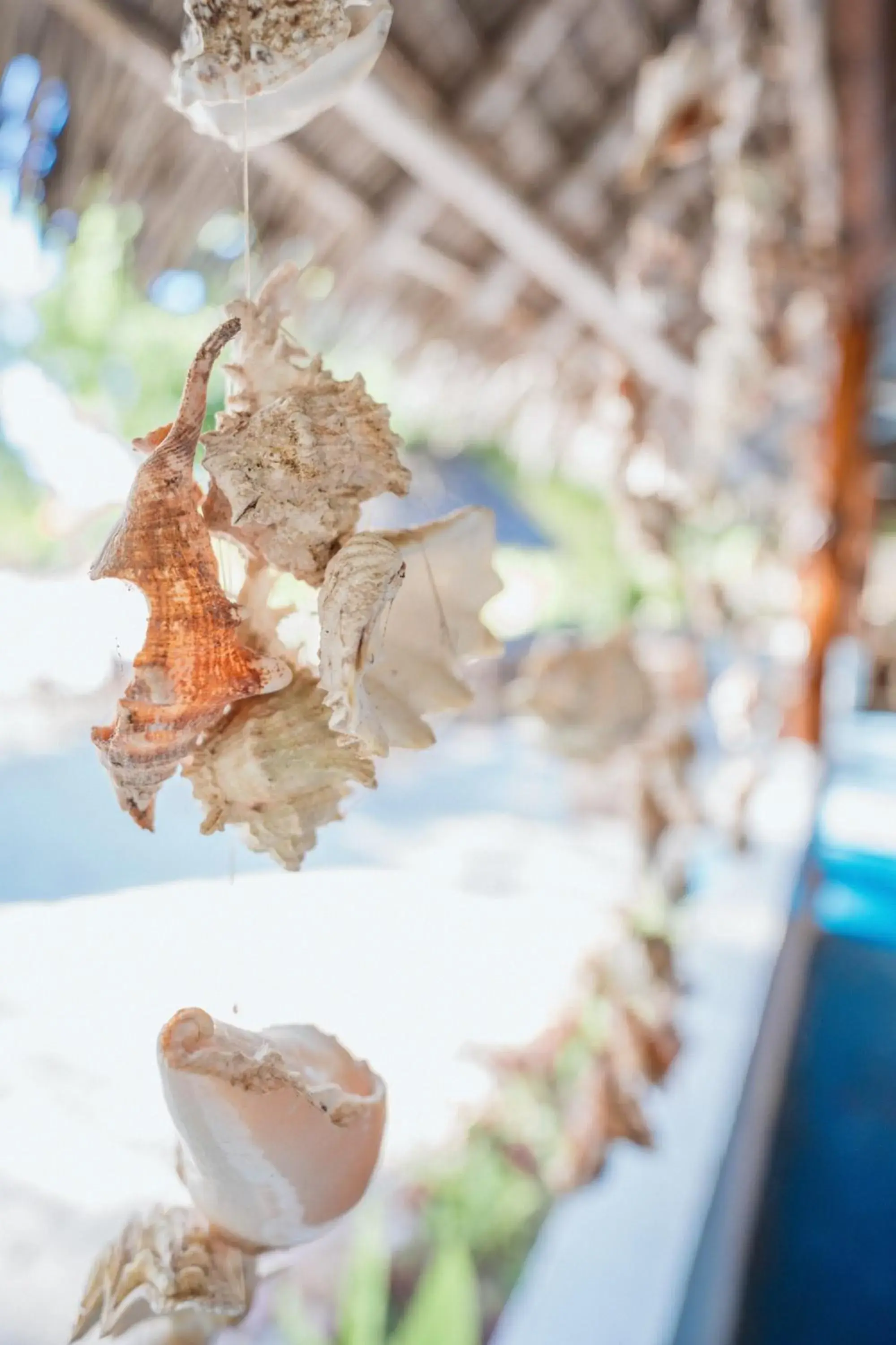 Restaurant/places to eat in Bella Vista Resort Zanzibar Restaurant/places to eat in Bella Vista Resort Zanzibar