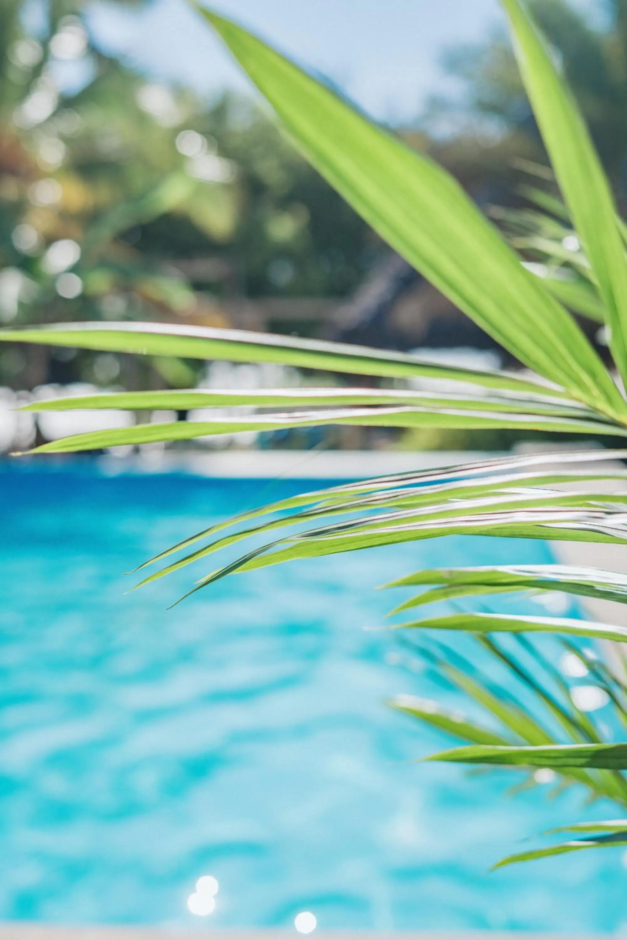 Pool view in Bella Vista Resort Zanzibar
