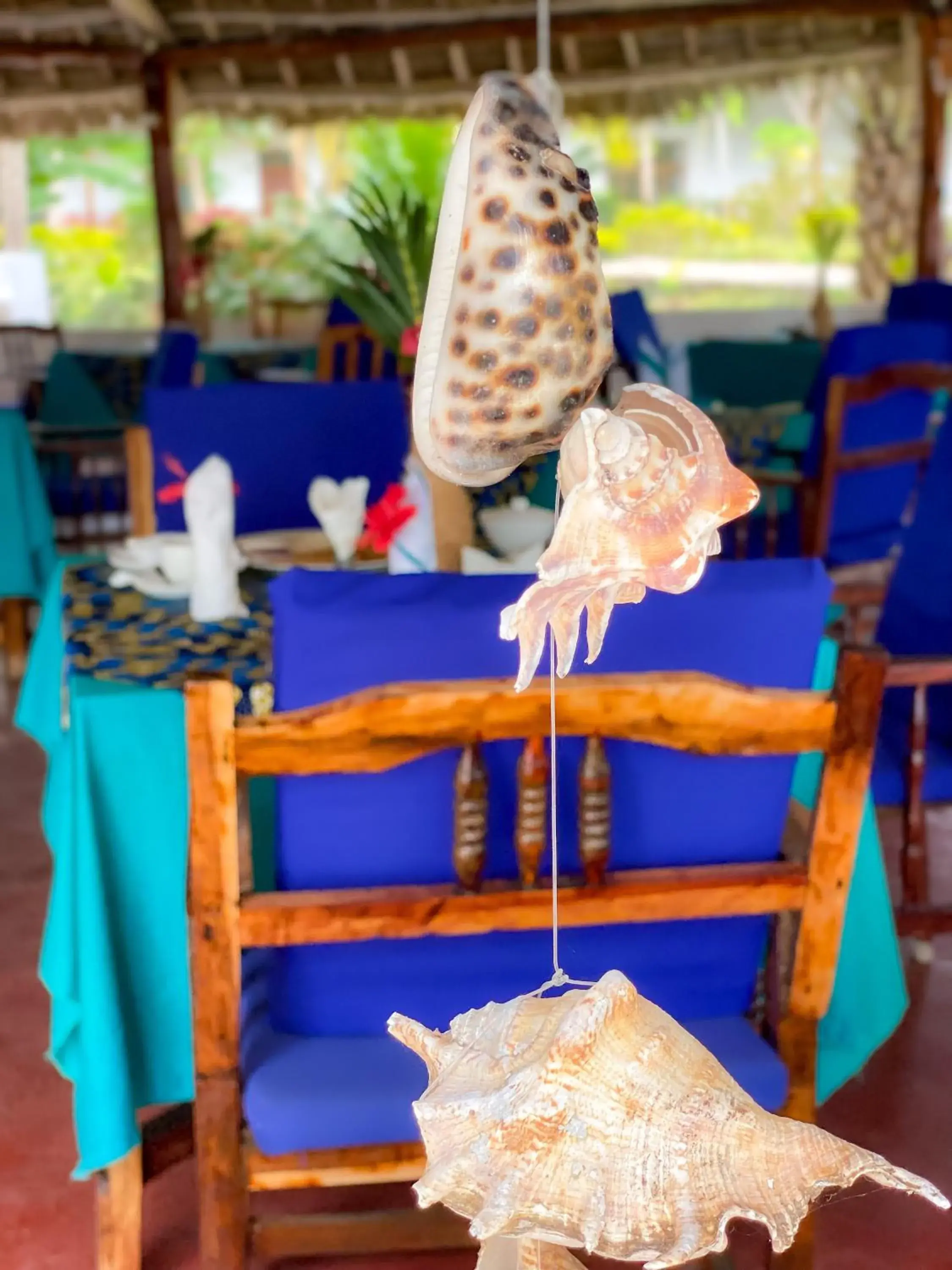 Restaurant/places to eat in Bella Vista Resort Zanzibar Restaurant/places to eat in Bella Vista Resort Zanzibar