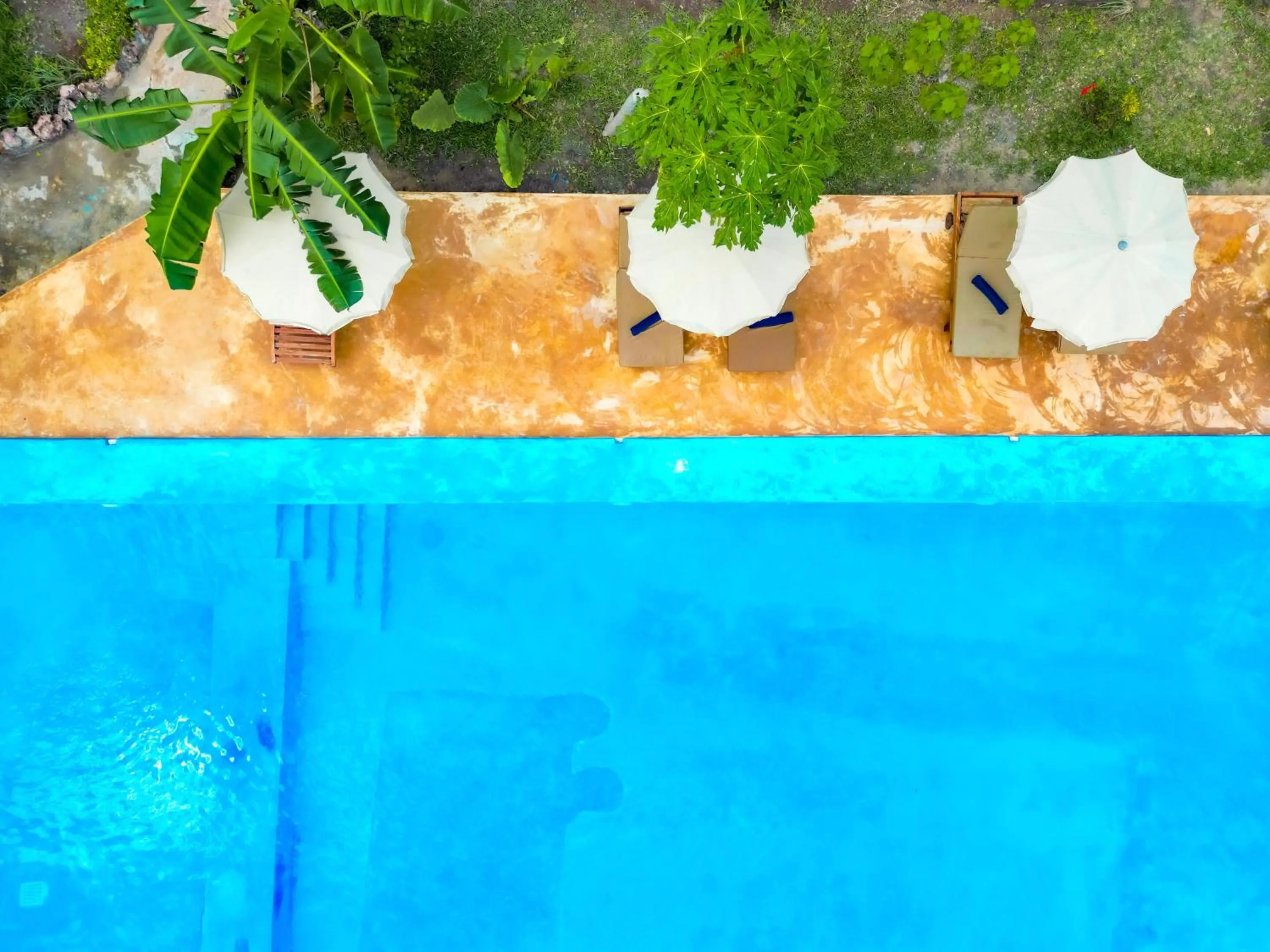 Day in Bella Vista Resort Zanzibar