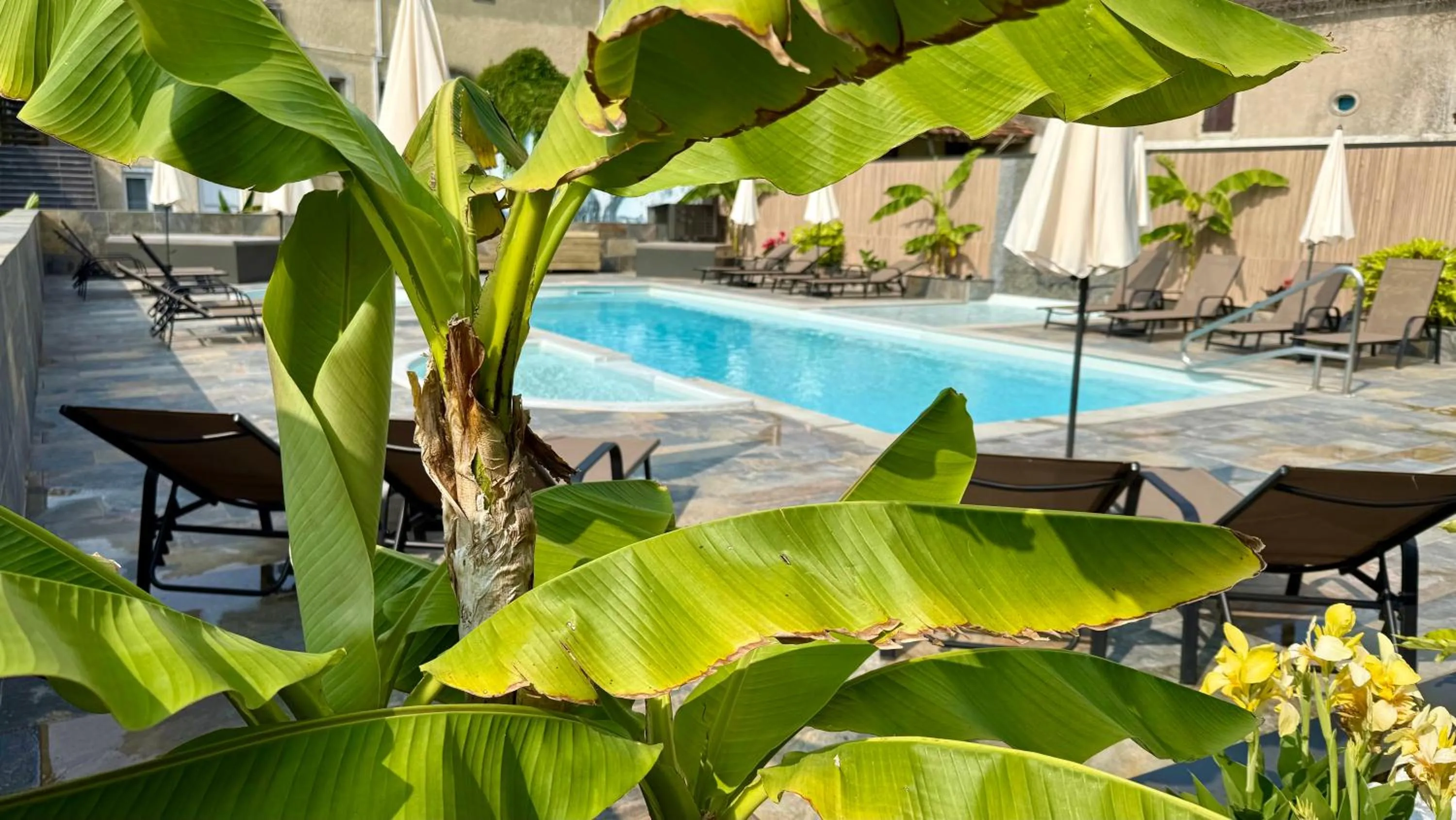 Pool view in Logis Hôtel Restaurant Bellevue