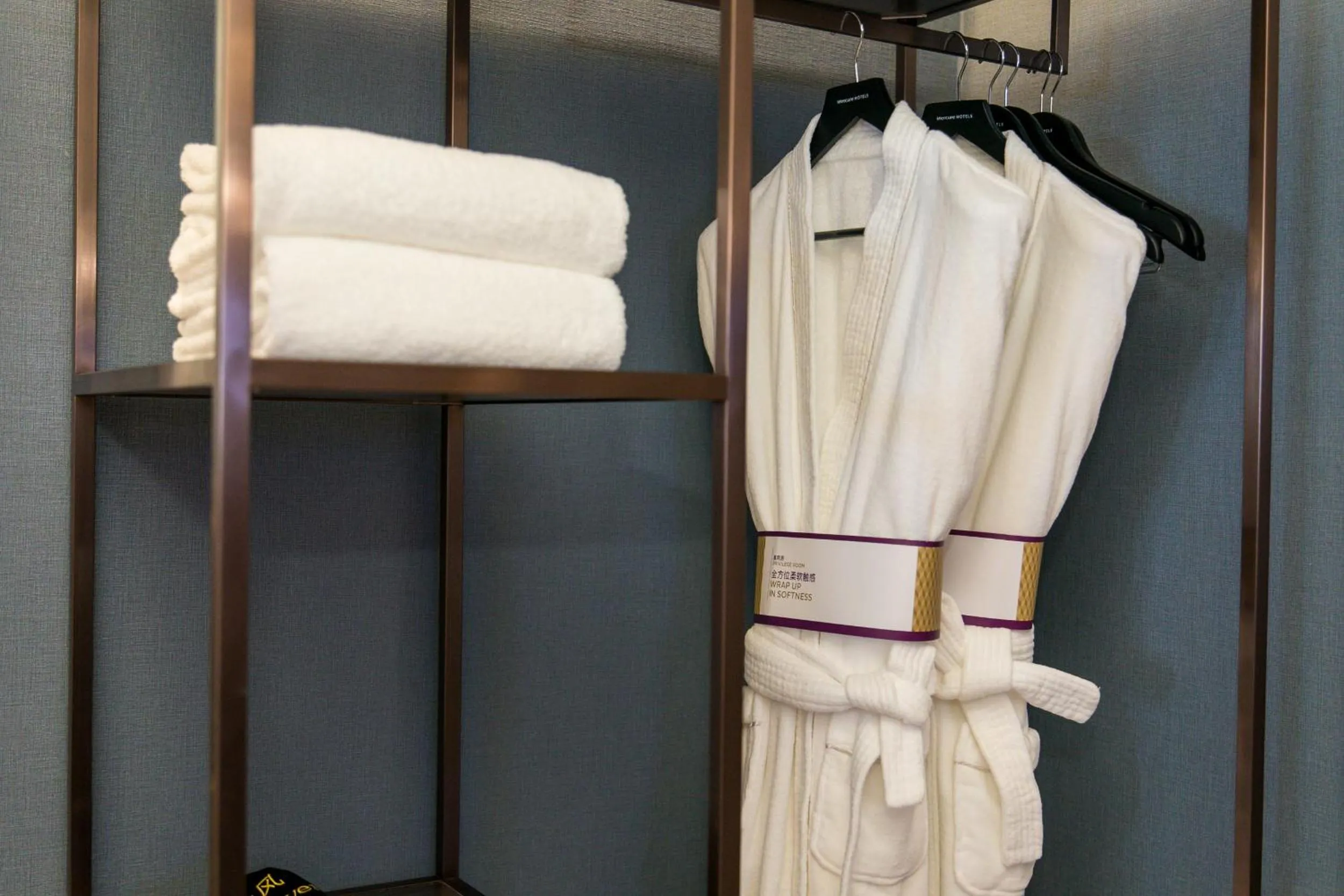 wardrobe in Mercure Xi'an Qujiang
