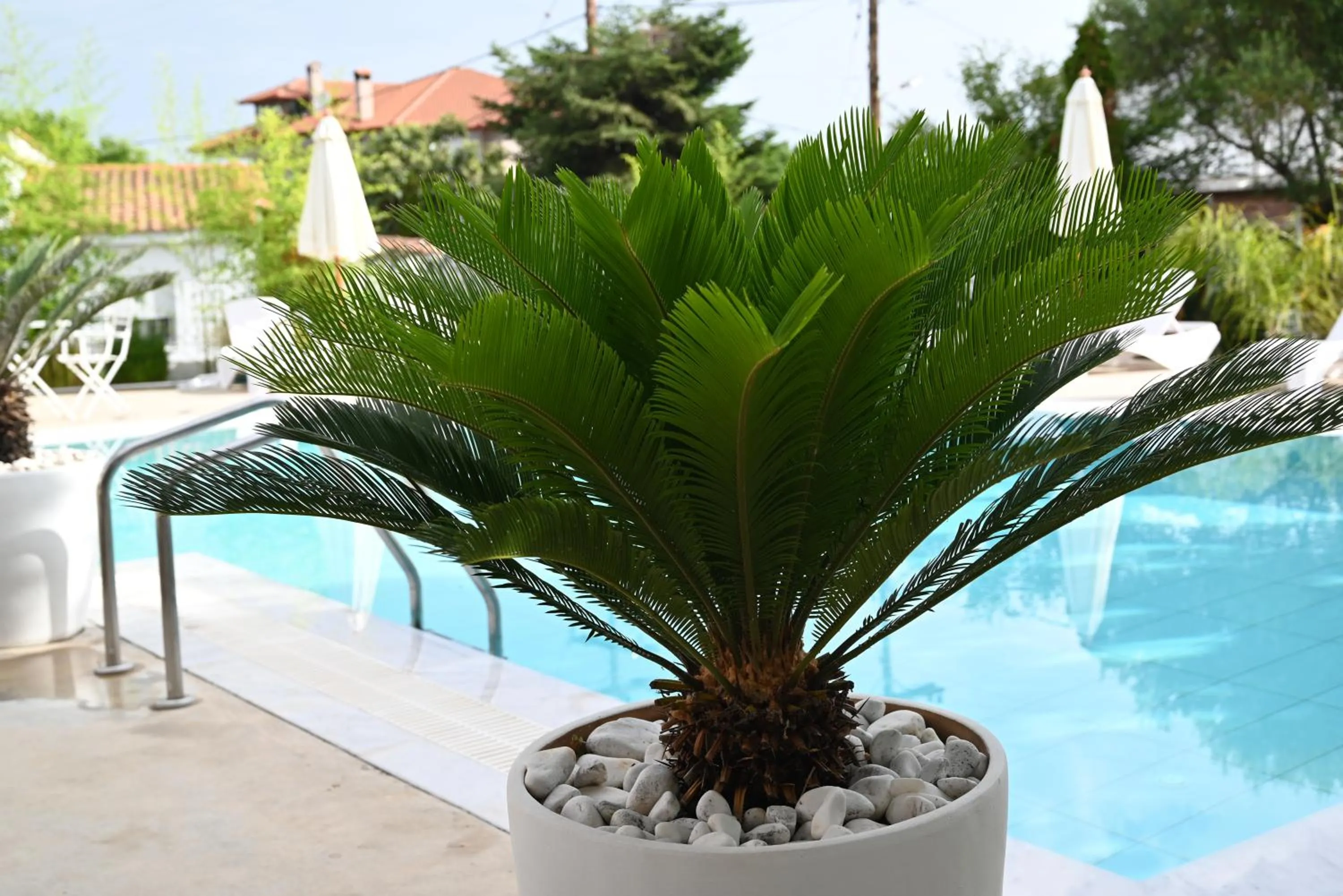 Agorastos Luxury Living