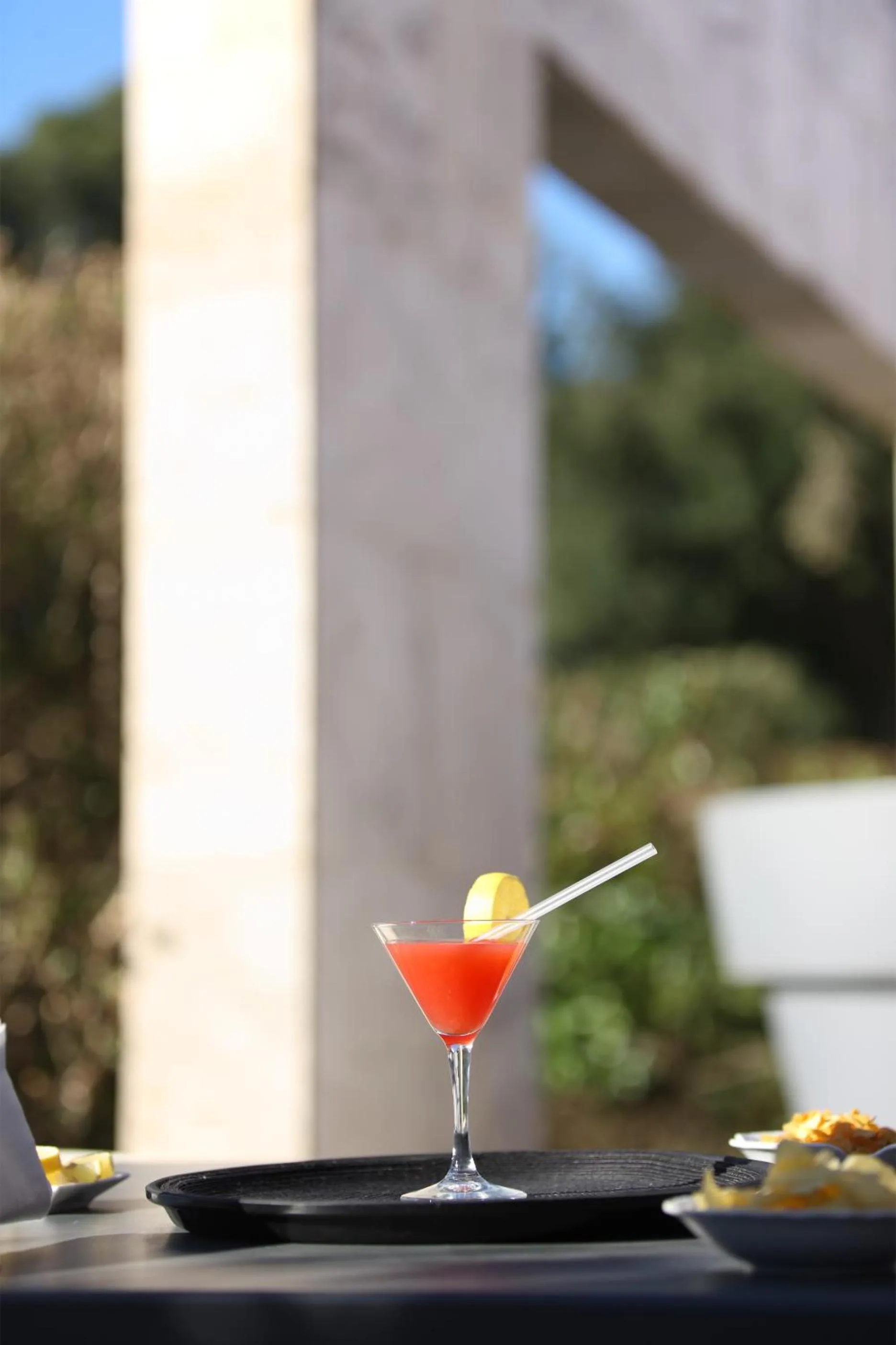 Garden in Hotel Zeffiro