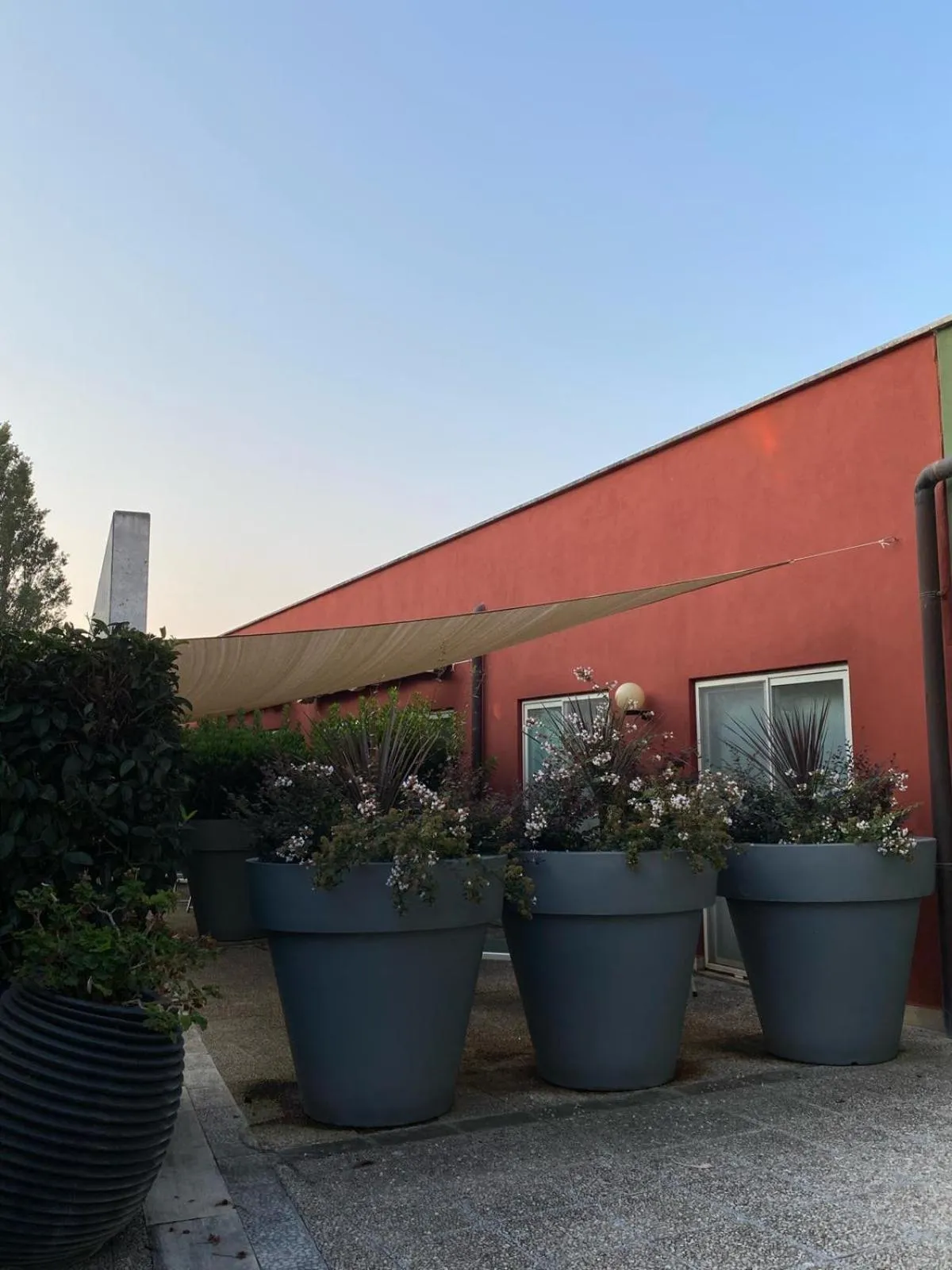 Patio in Hotel Zeffiro