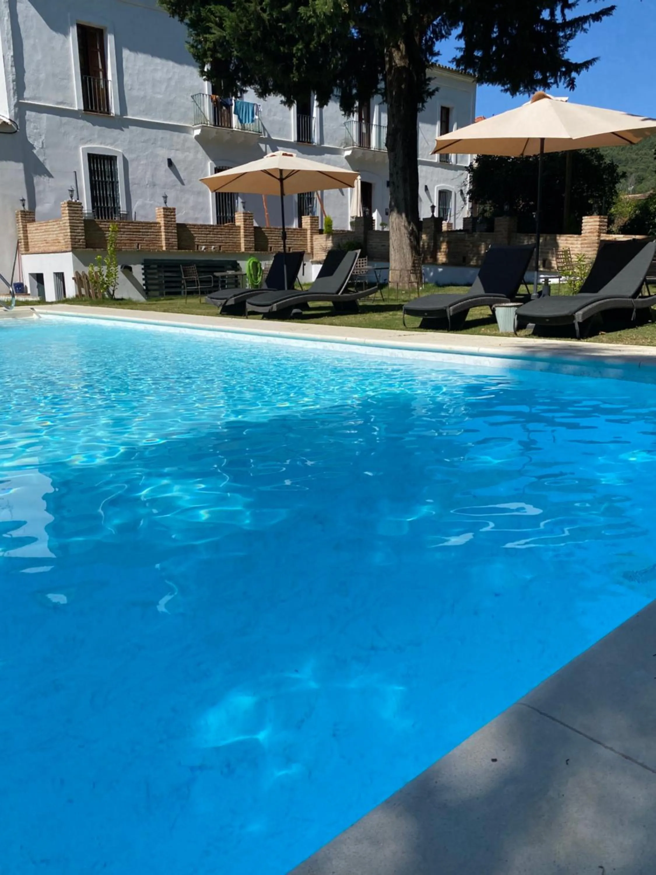 HOTEL LUZ ALMONASTER