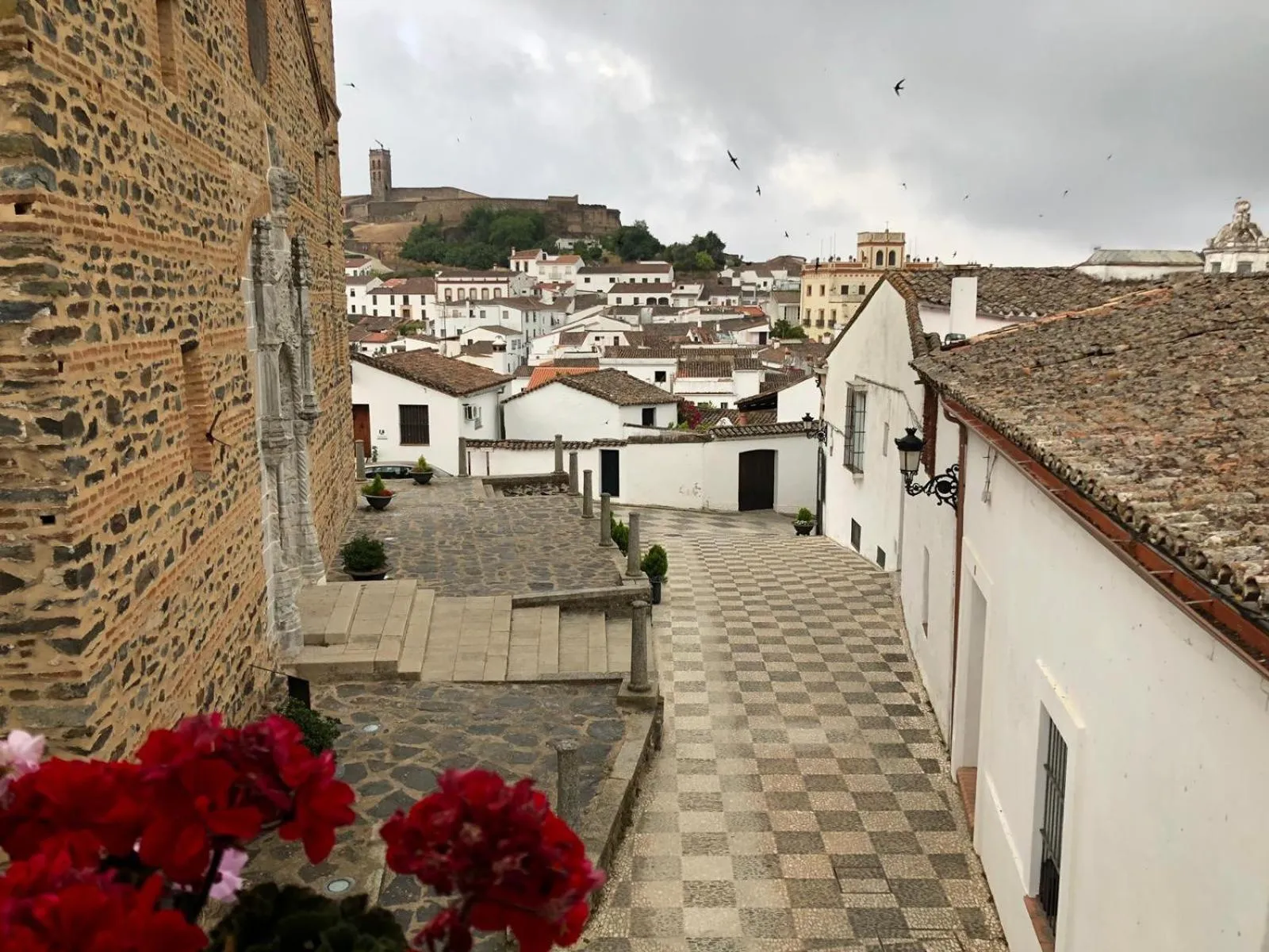 HOTEL LUZ ALMONASTER