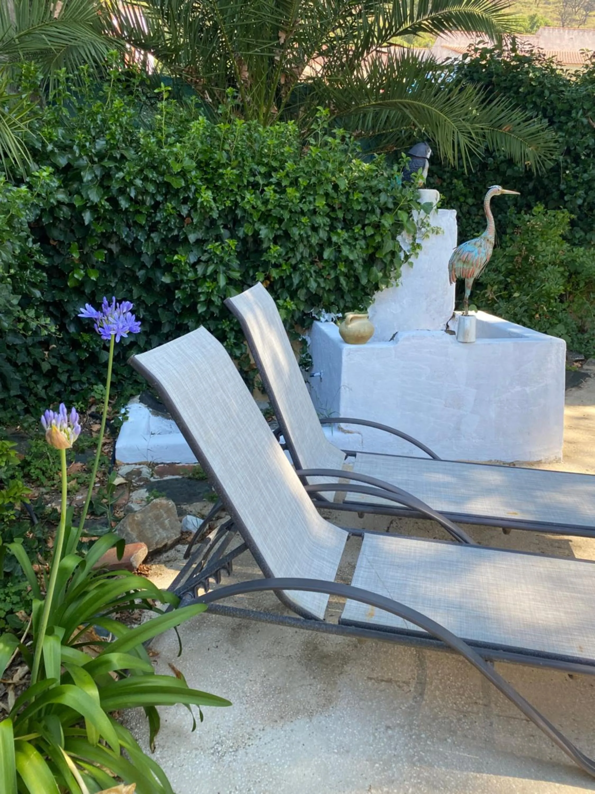 HOTEL LUZ ALMONASTER