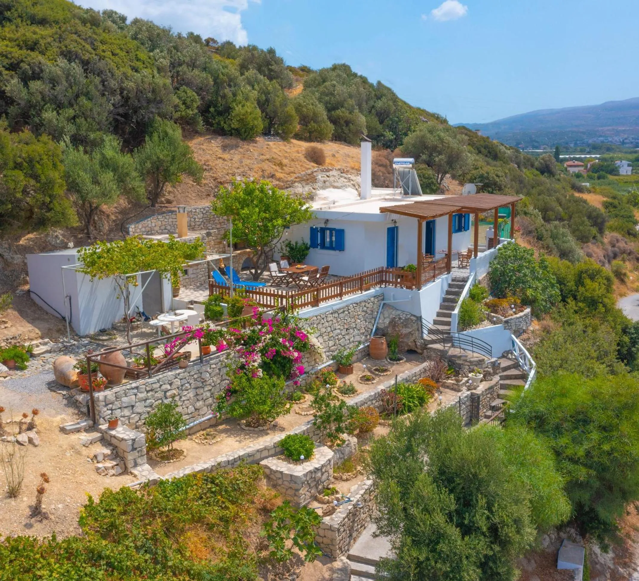 The Rock & The Lemon Tree