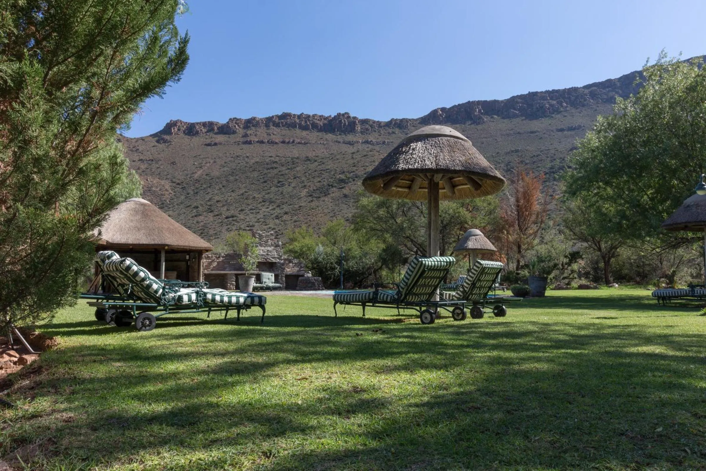 Garden in Lemoenfontein