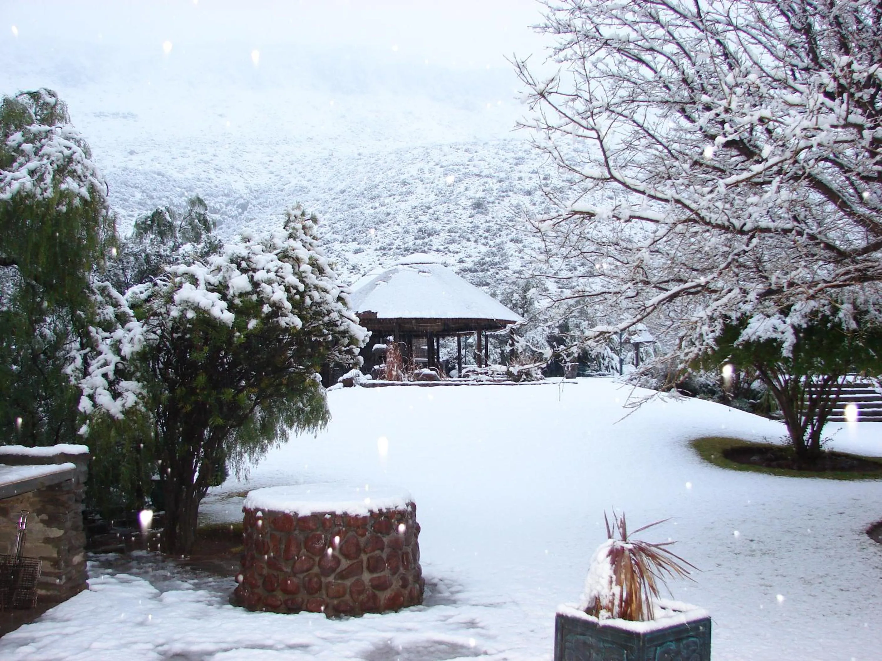 Other in Lemoenfontein