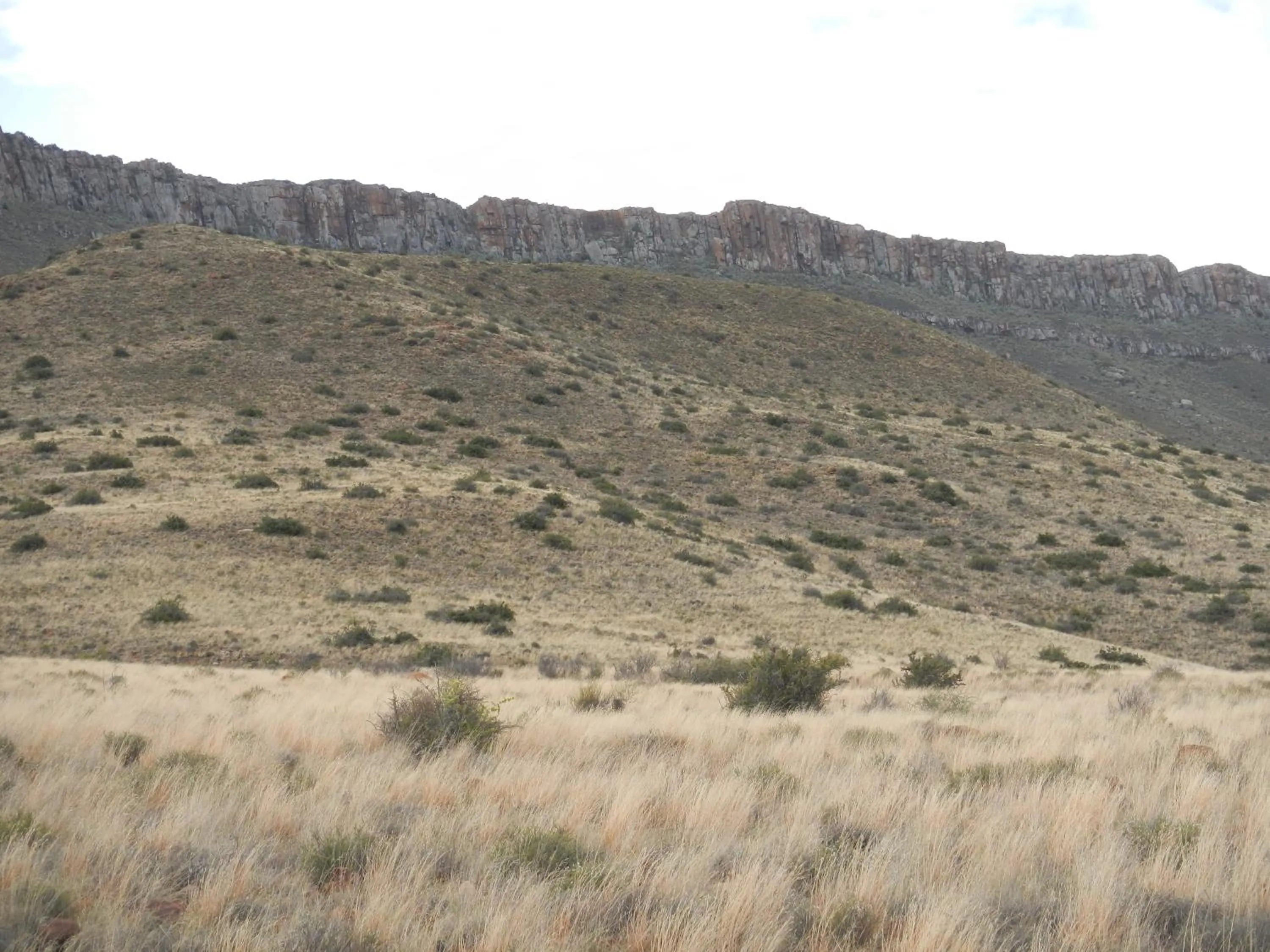 Area and facilities in Lemoenfontein