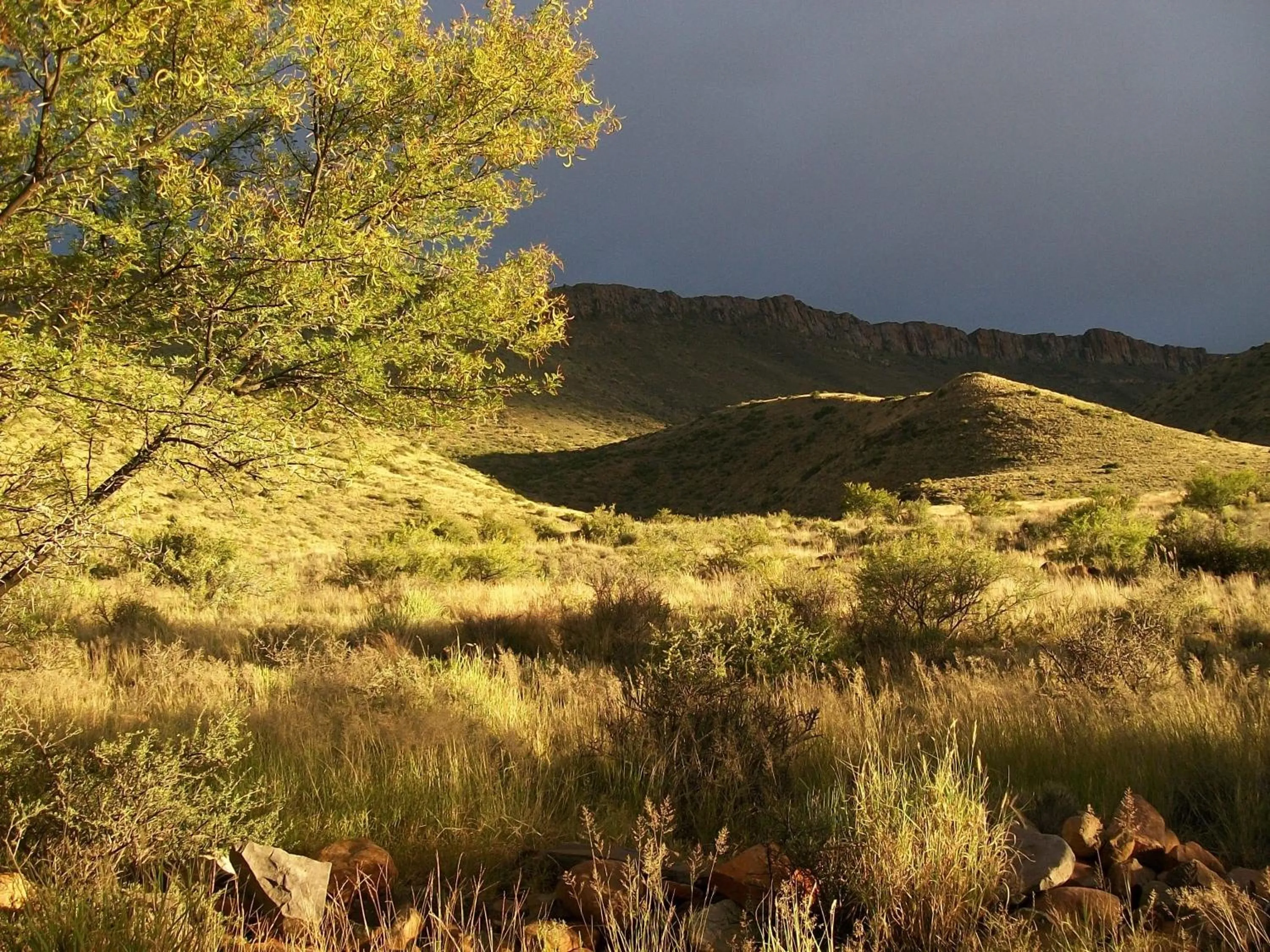 Natural landscape in Lemoenfontein