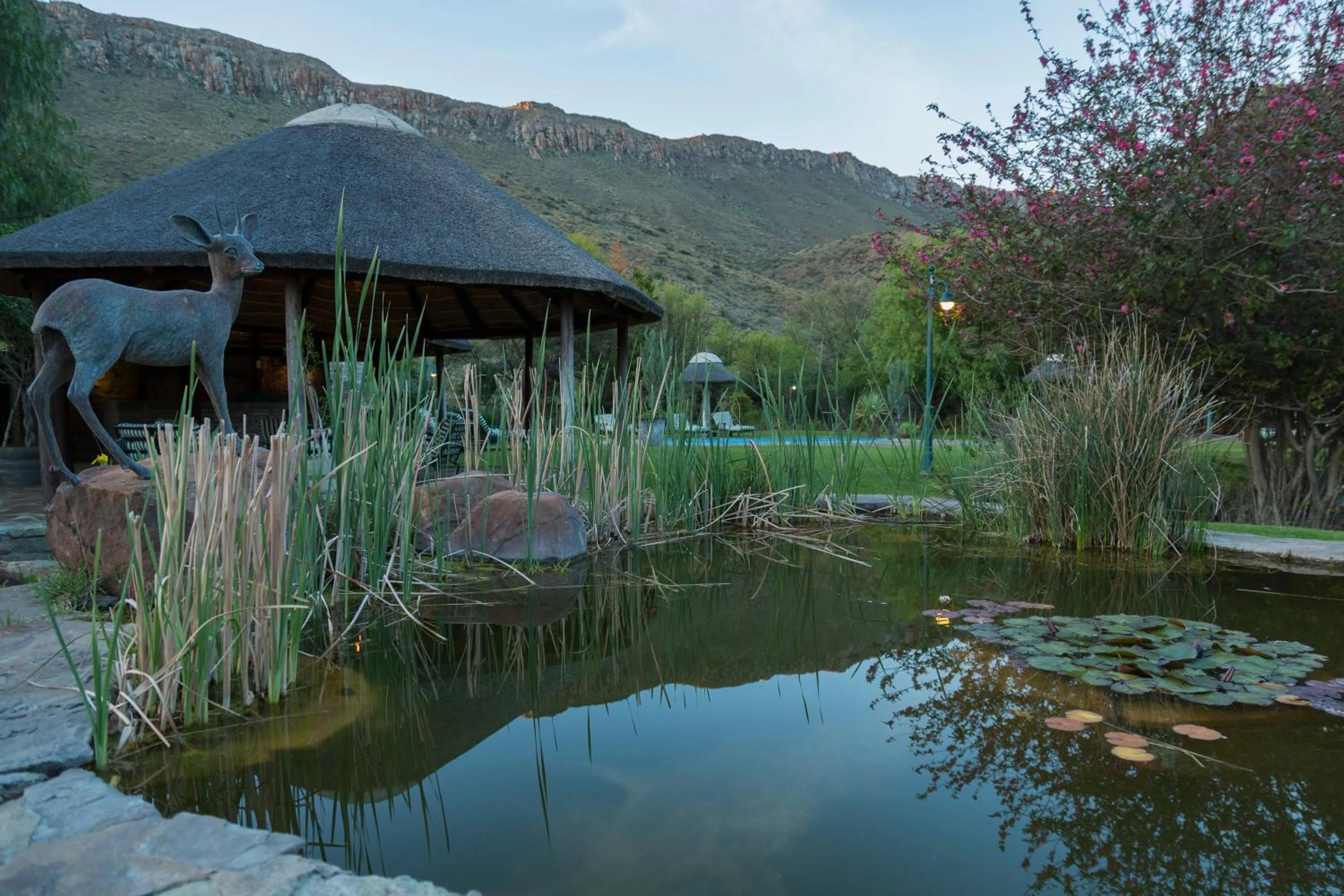 Garden in Lemoenfontein