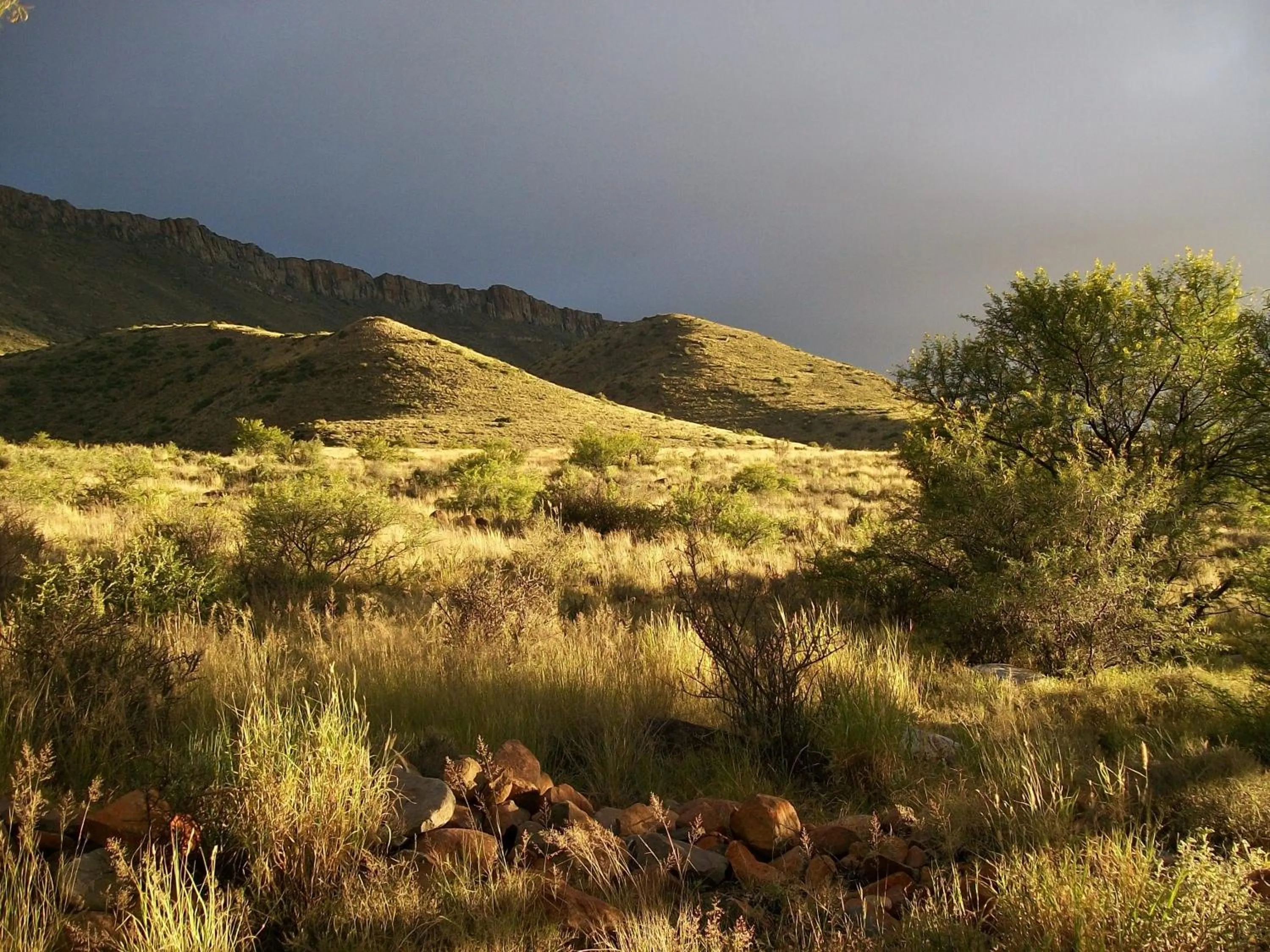 Natural landscape in Lemoenfontein