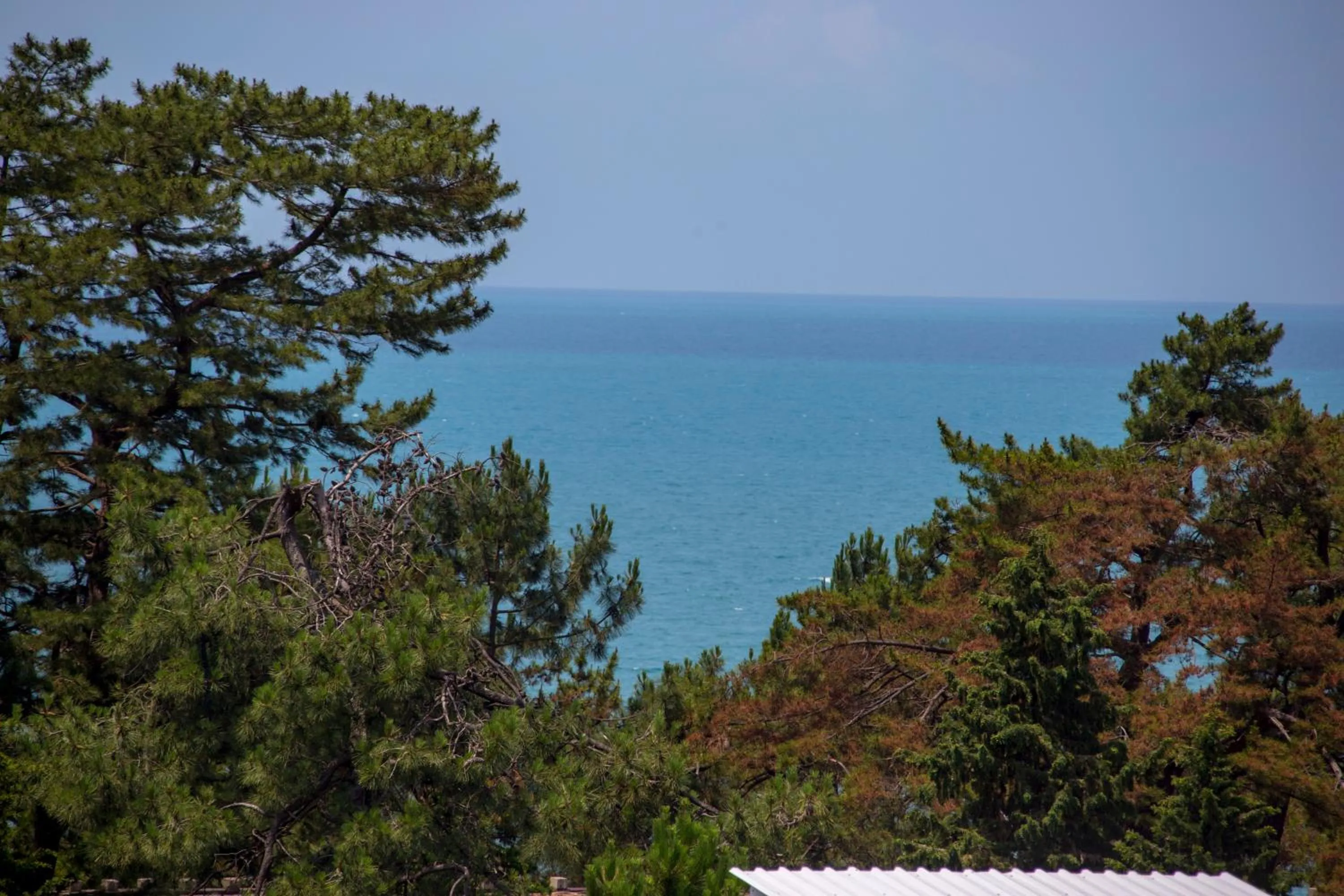 Natural landscape in Chveni Ezo Boutique Hotel