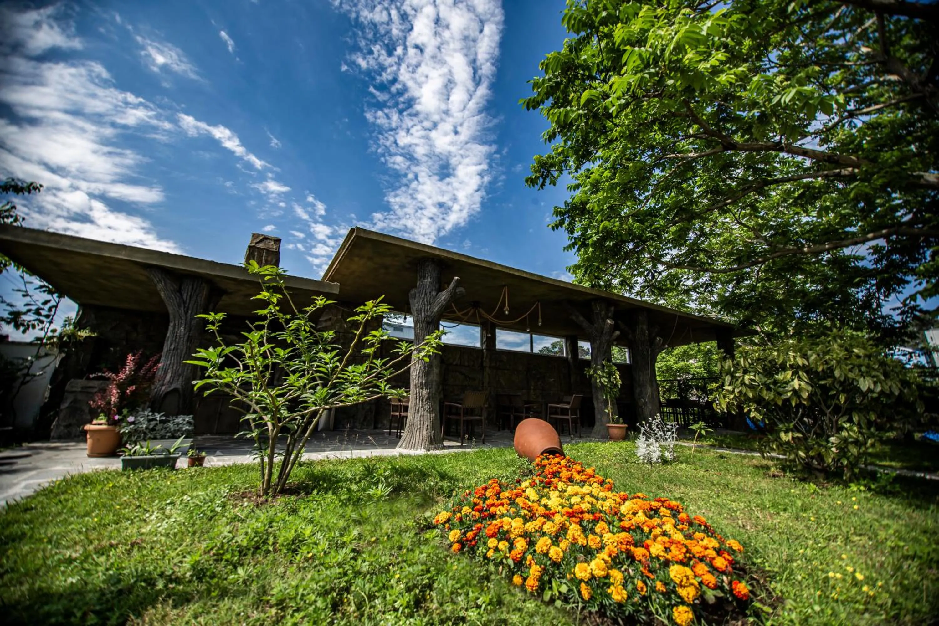 Area and facilities in Chveni Ezo Boutique Hotel