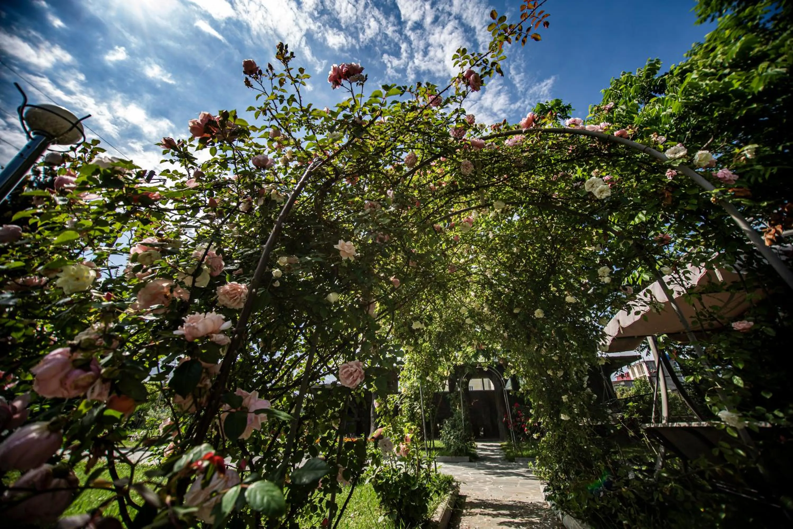 Area and facilities in Chveni Ezo Boutique Hotel
